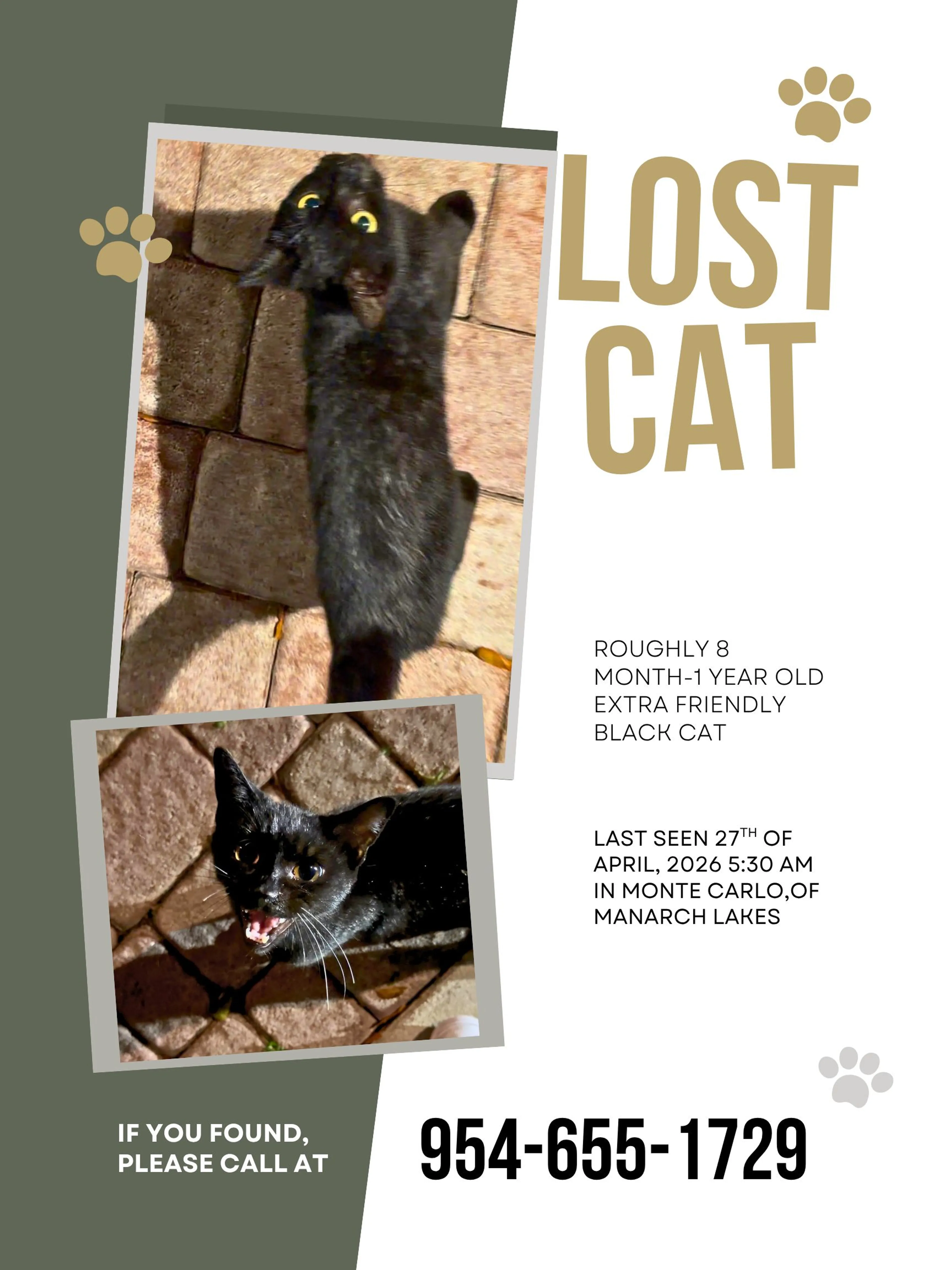Lost pet