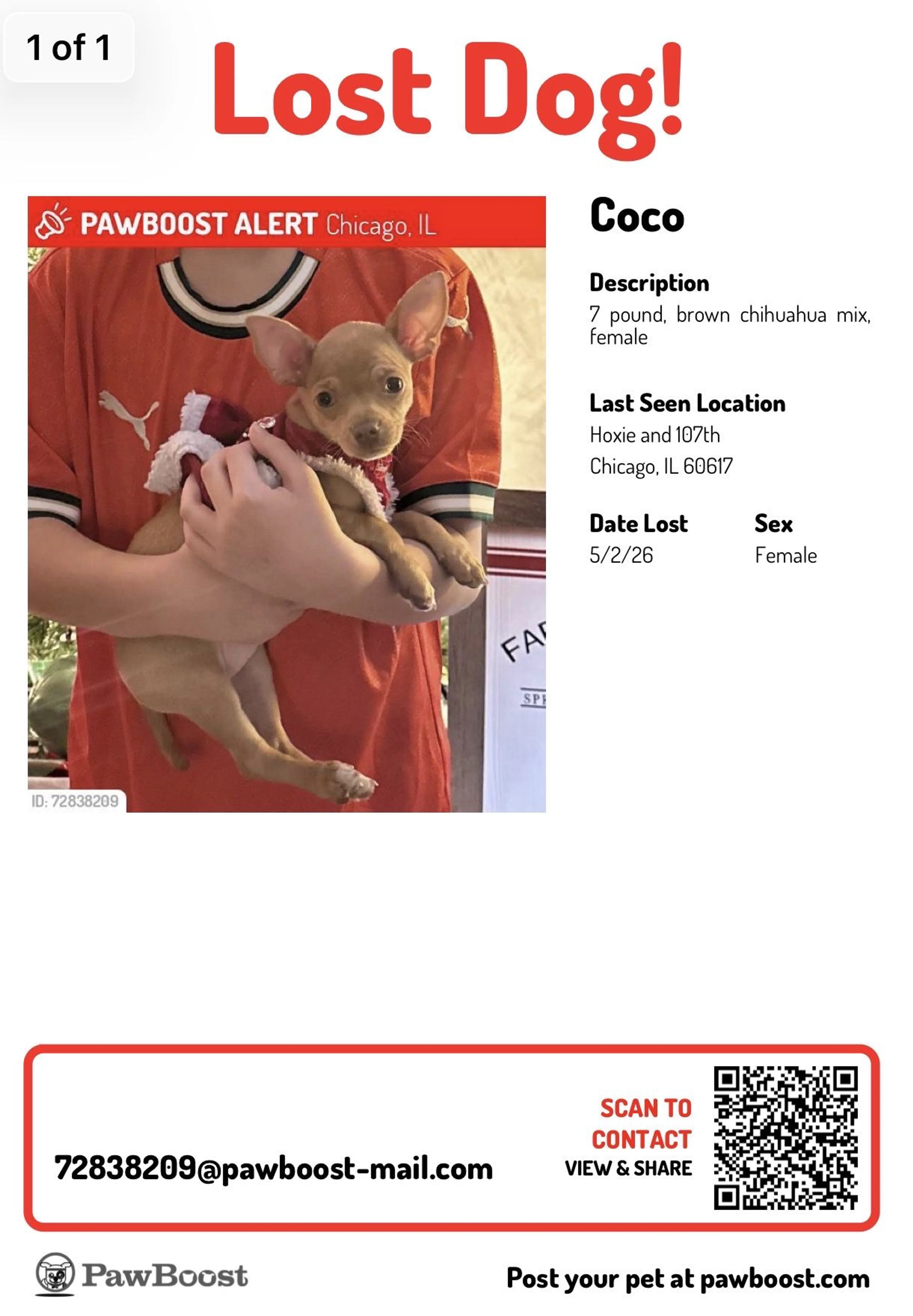 Lost pet