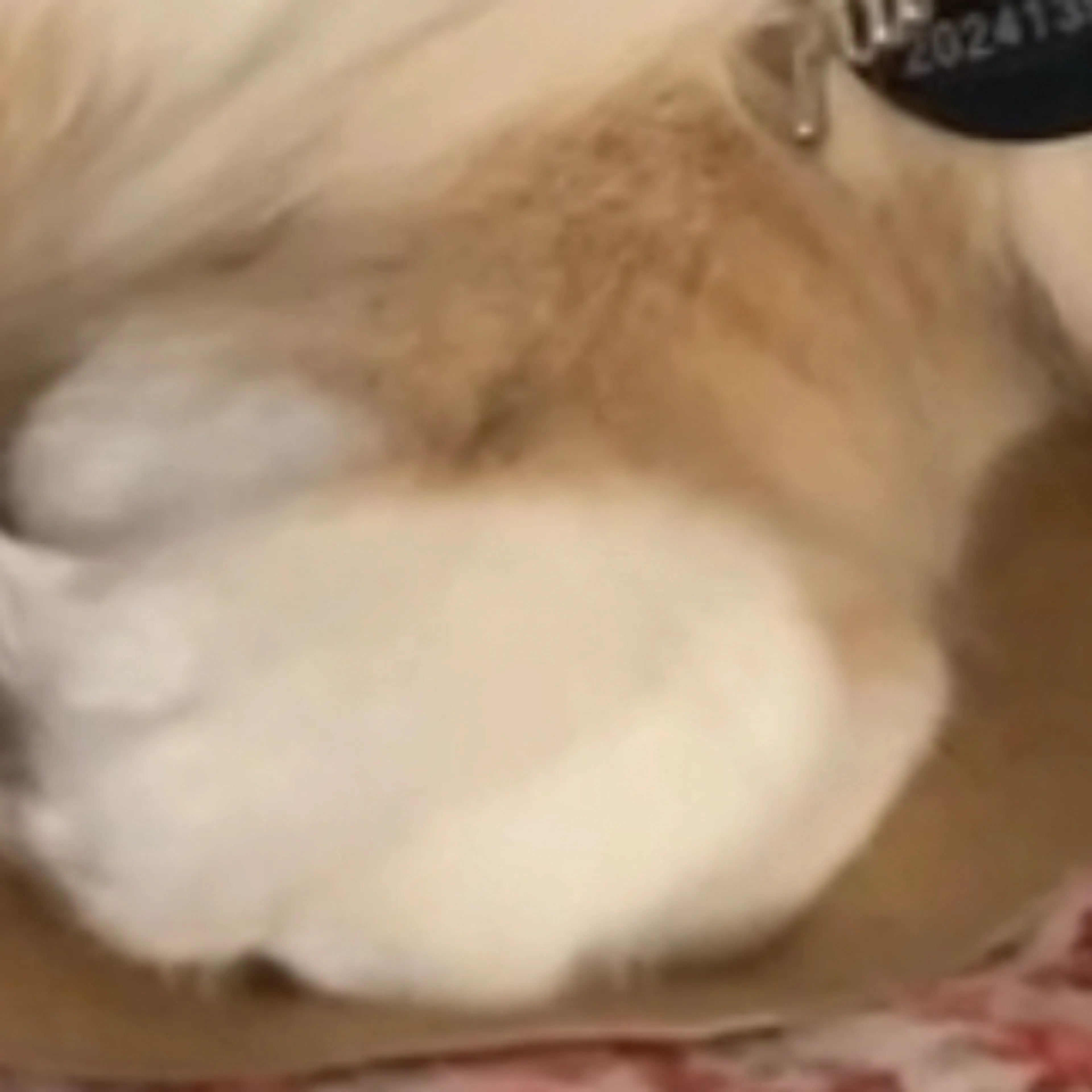 -3