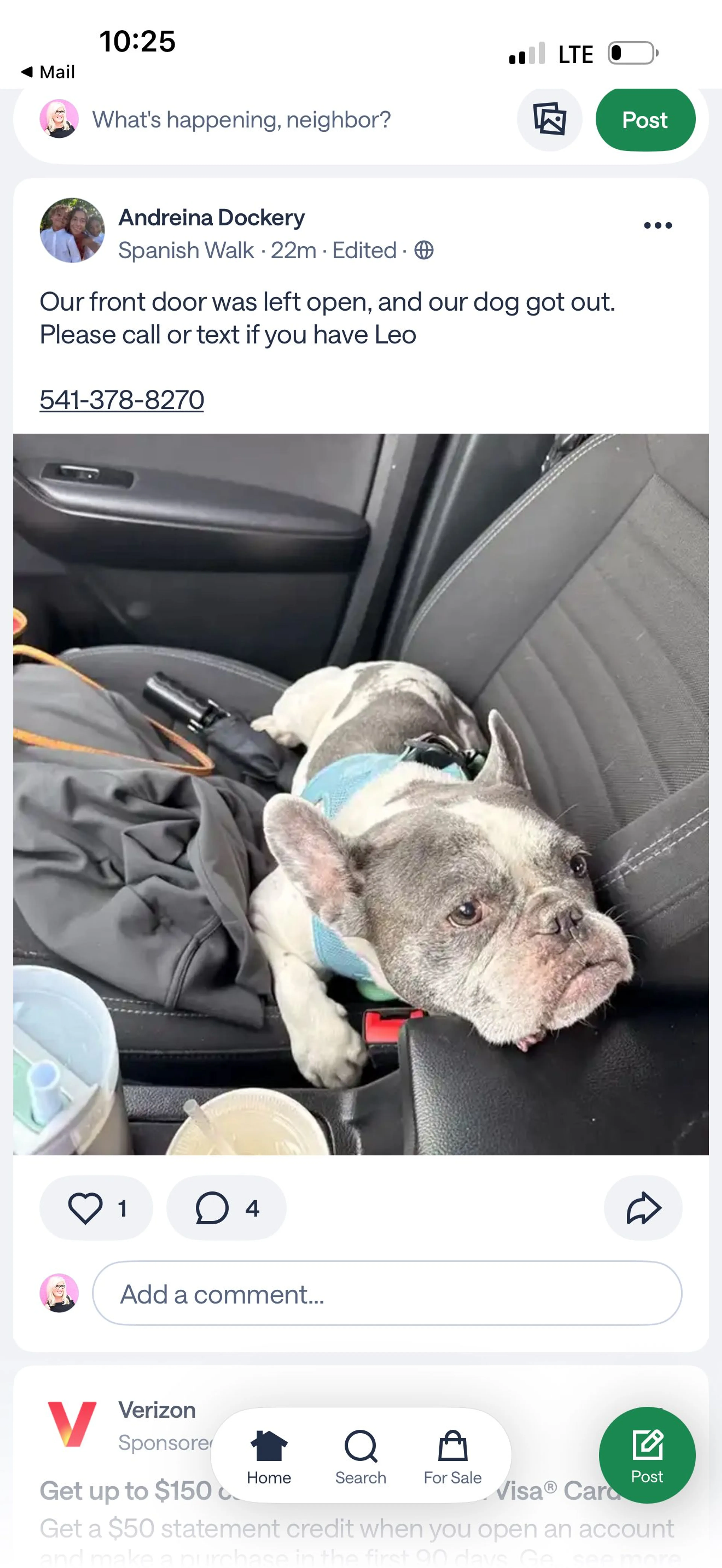 Lost pet