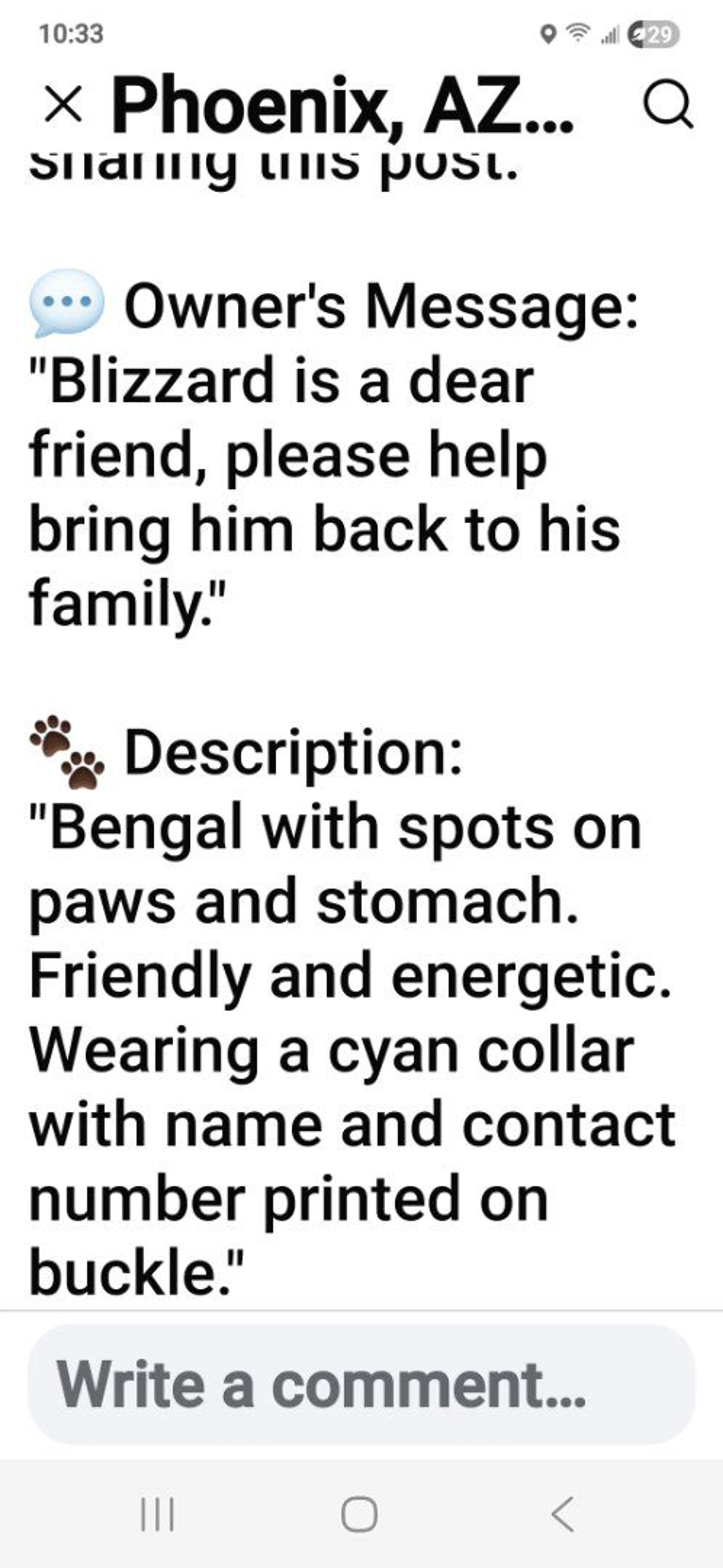 Lost pet-2