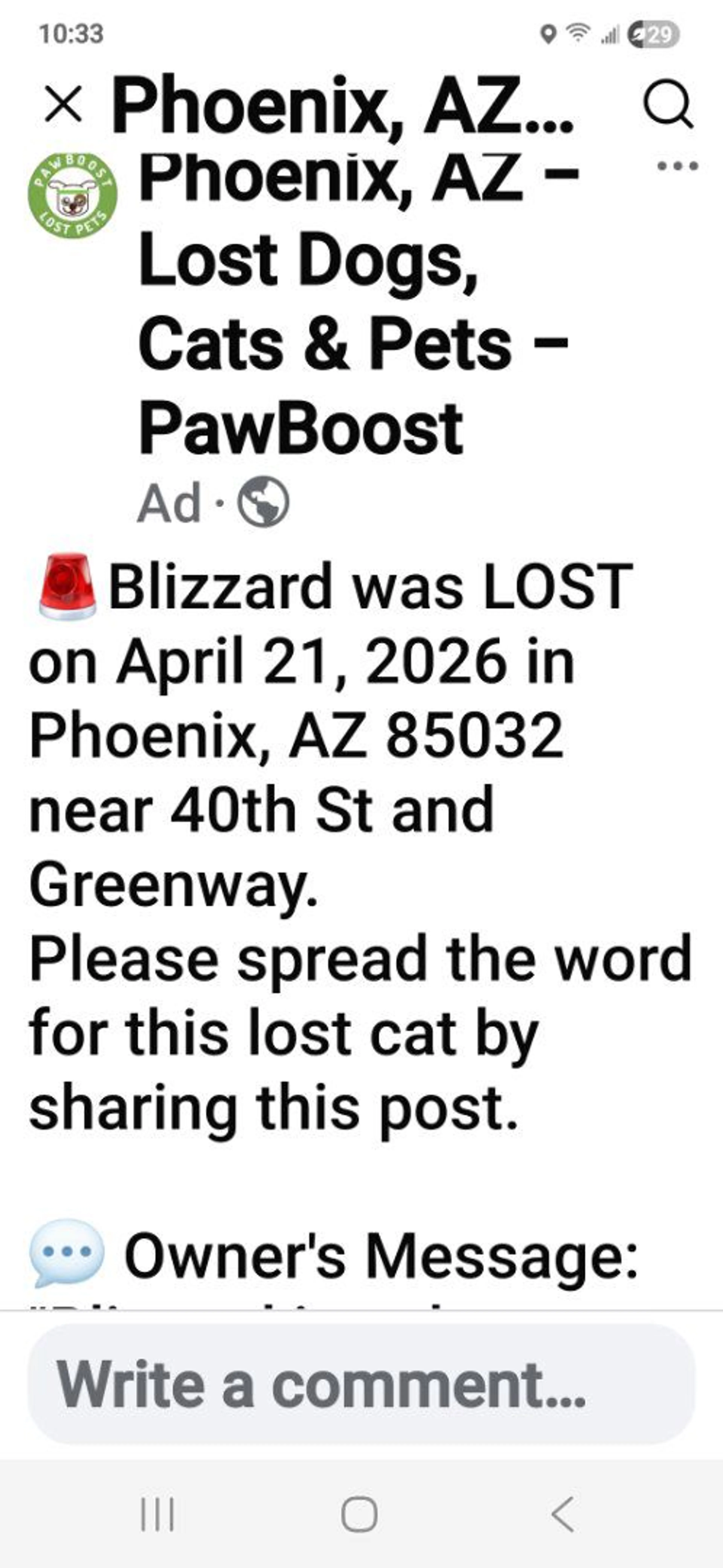 Lost pet-3