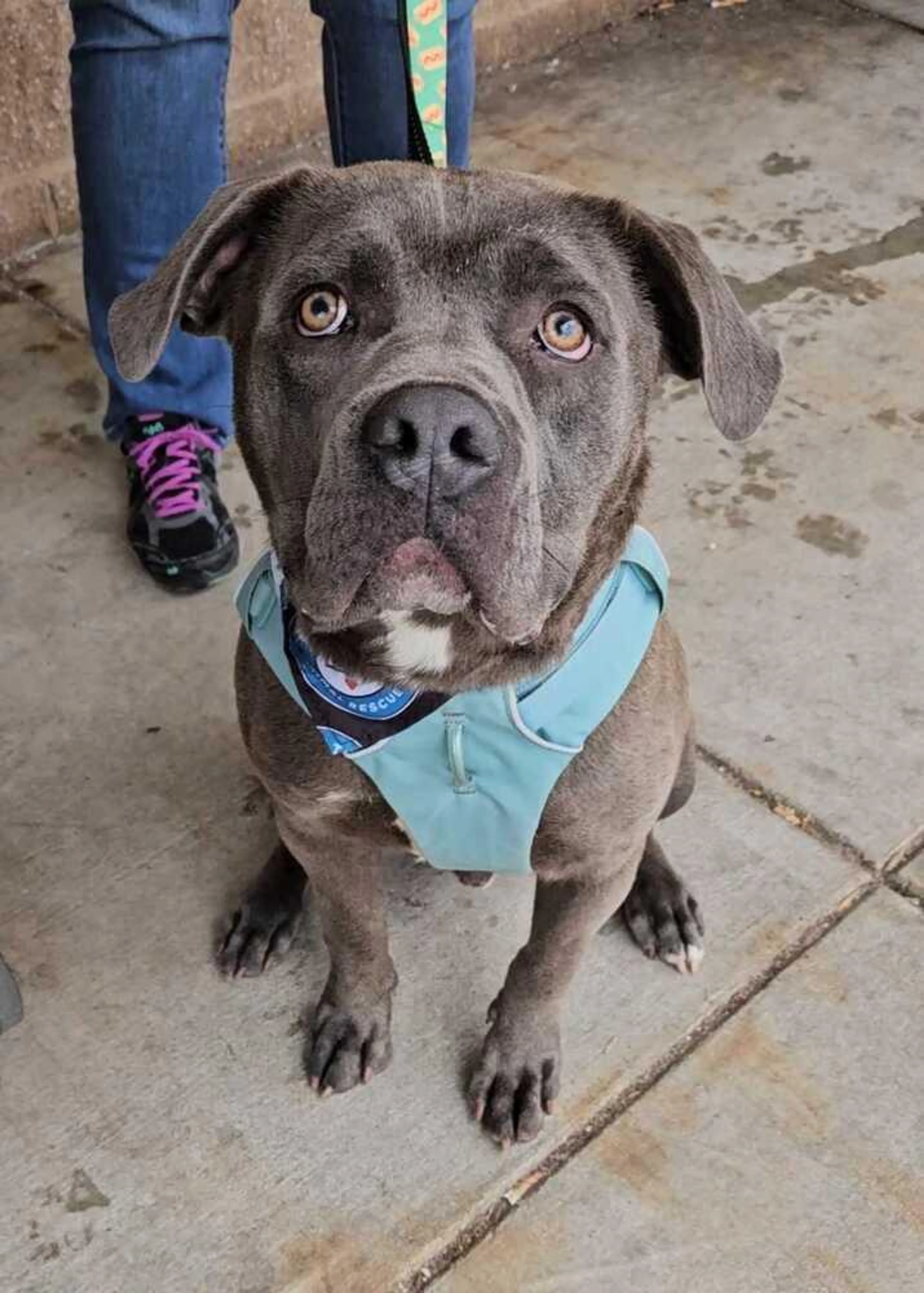 -3
