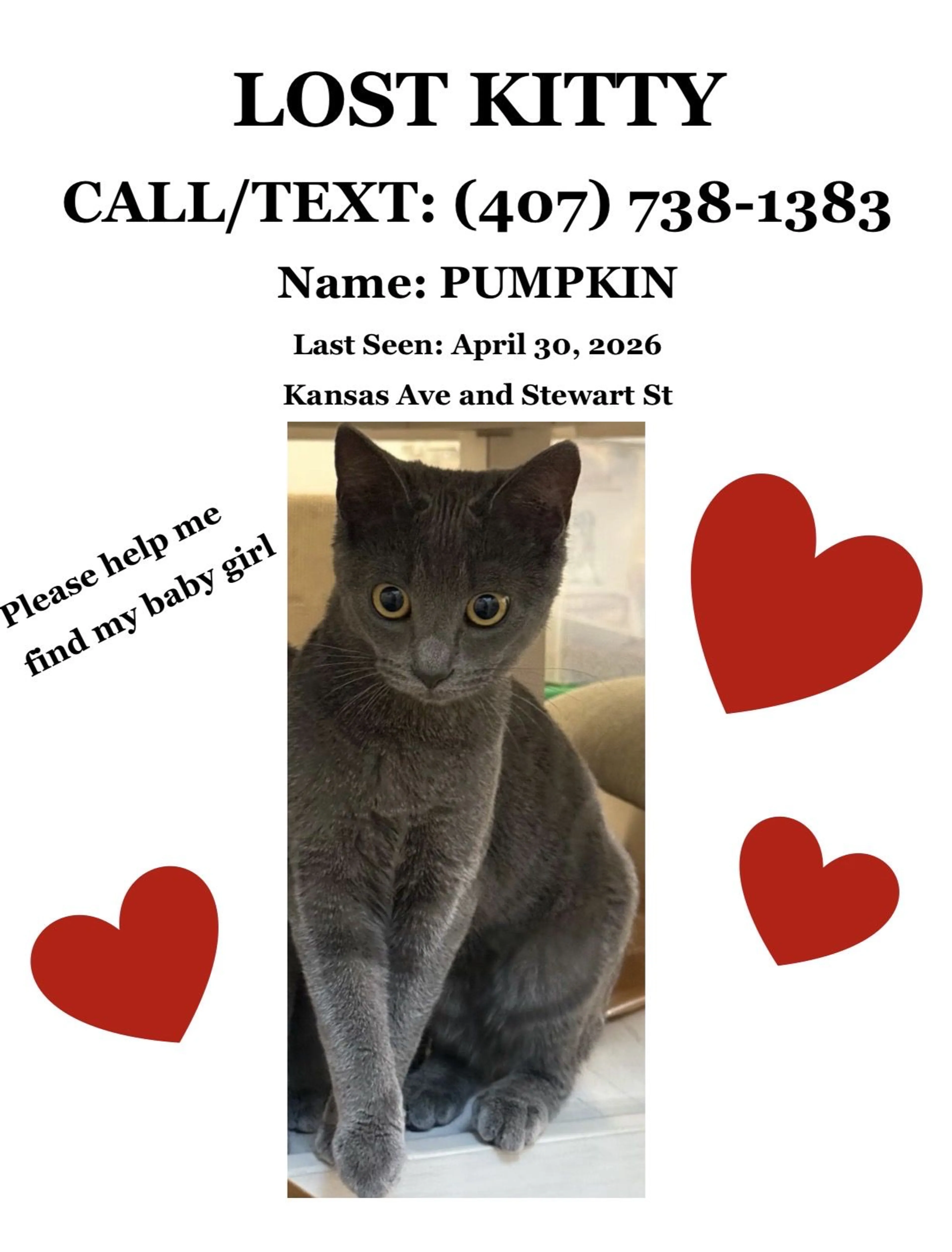 Lost pet
