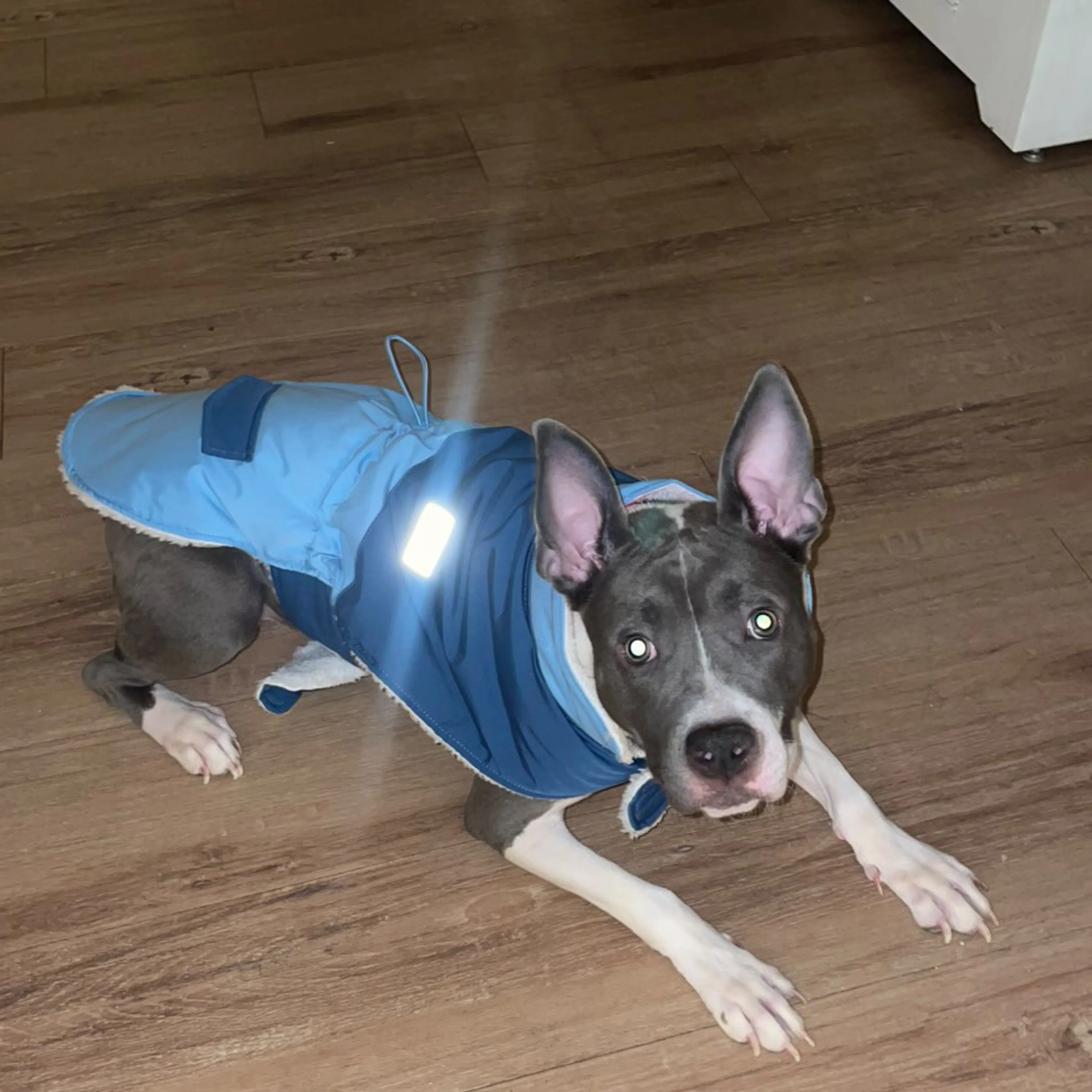 -1