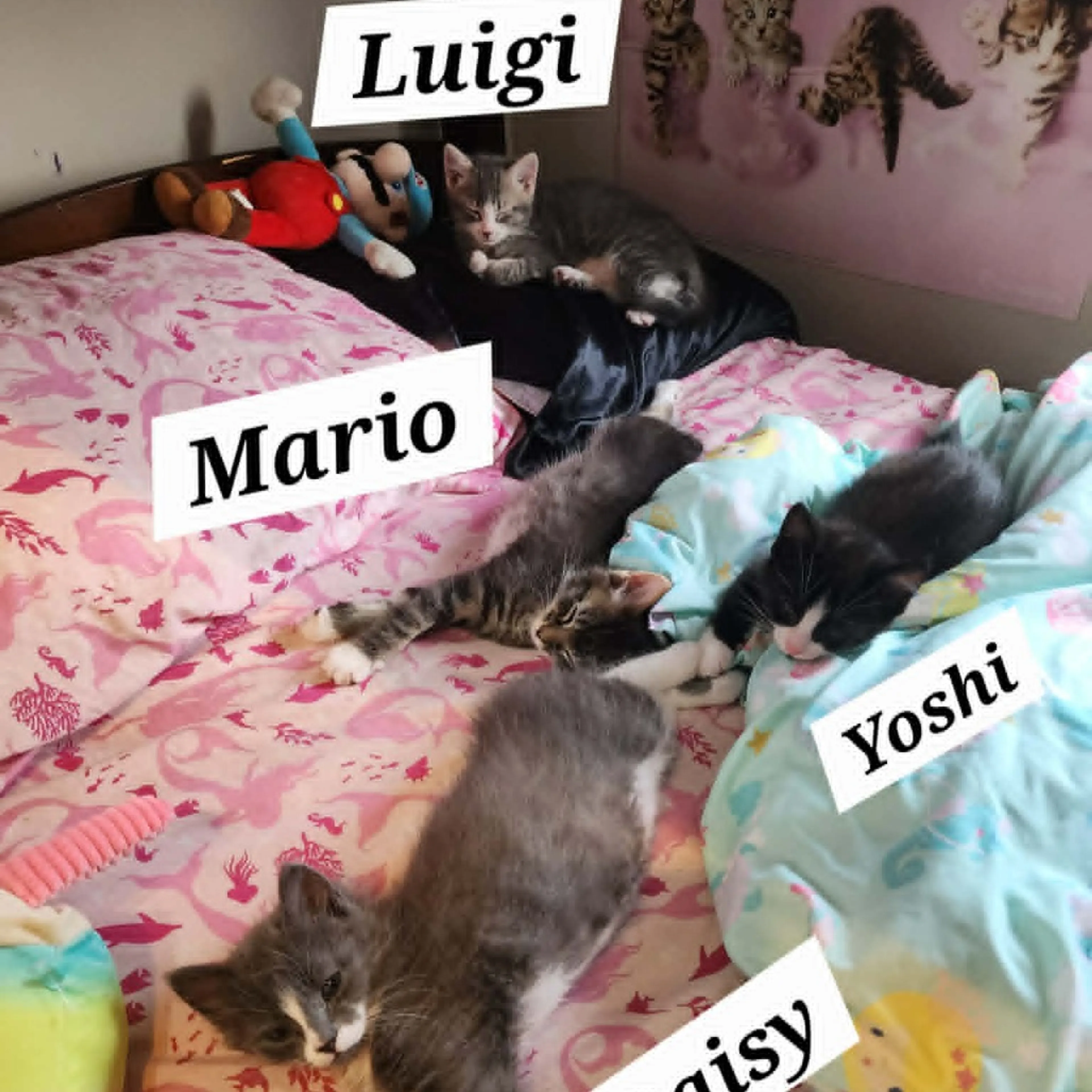 -3