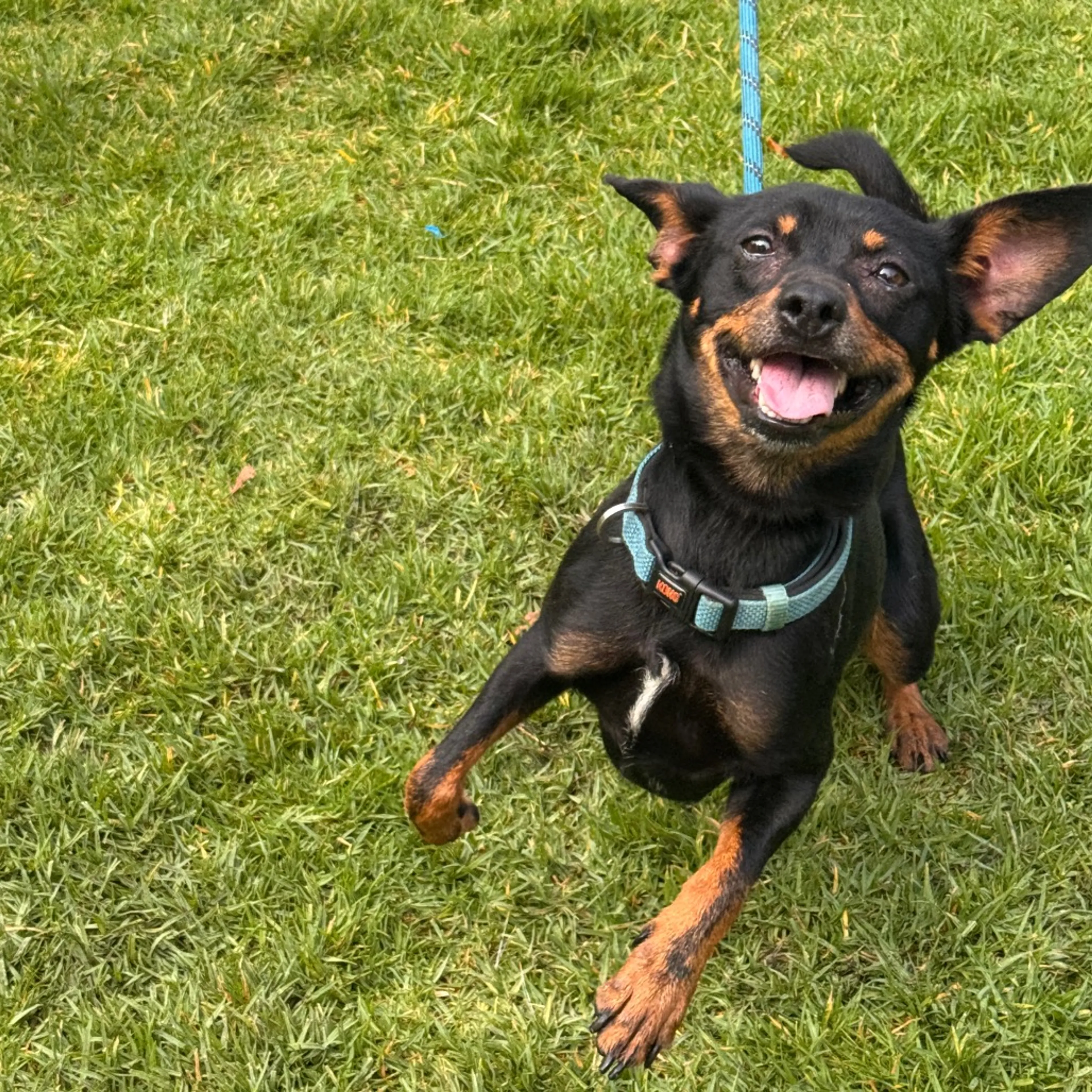 -3