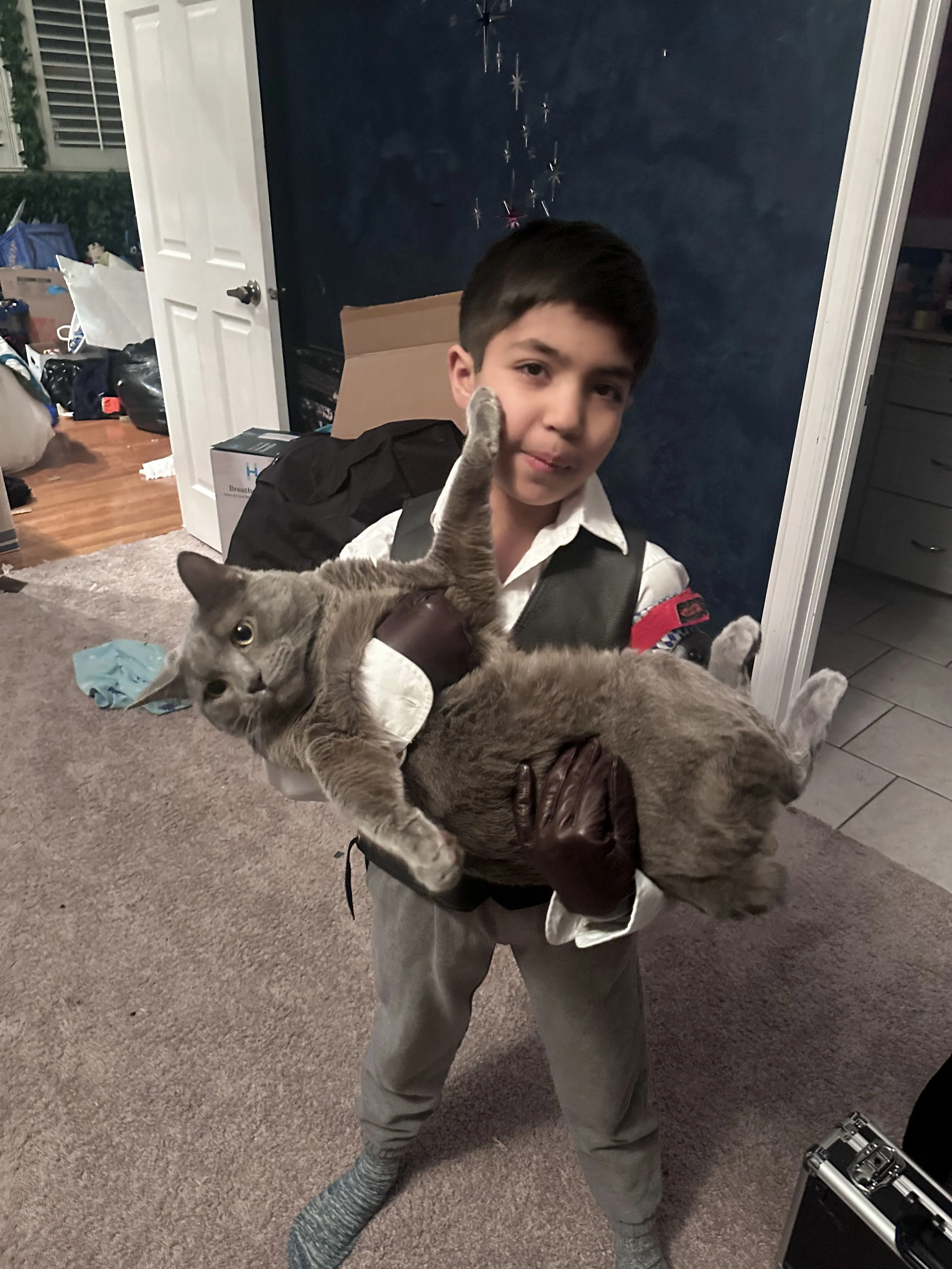 Lost pet-2