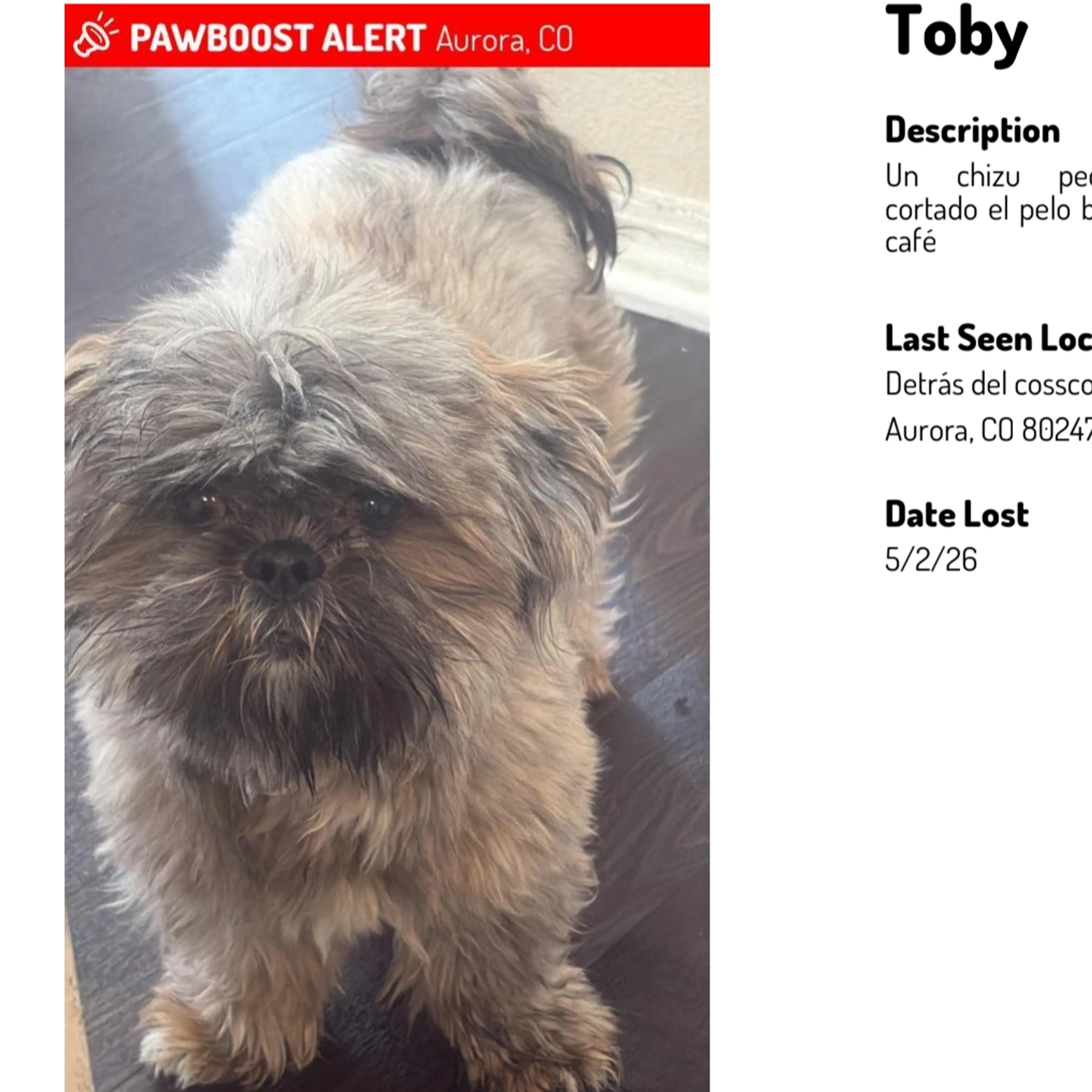 Lost pet-0