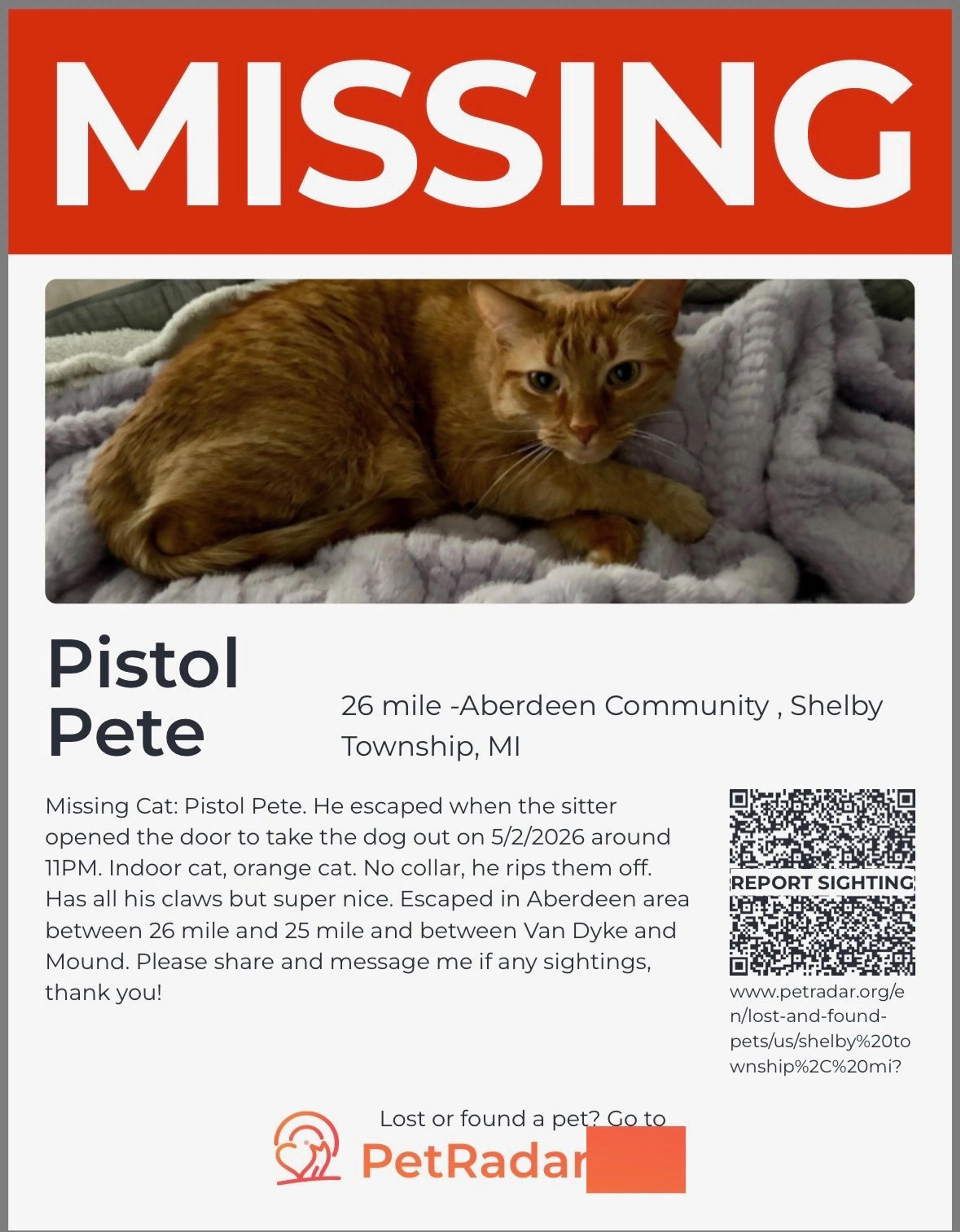 Lost pet