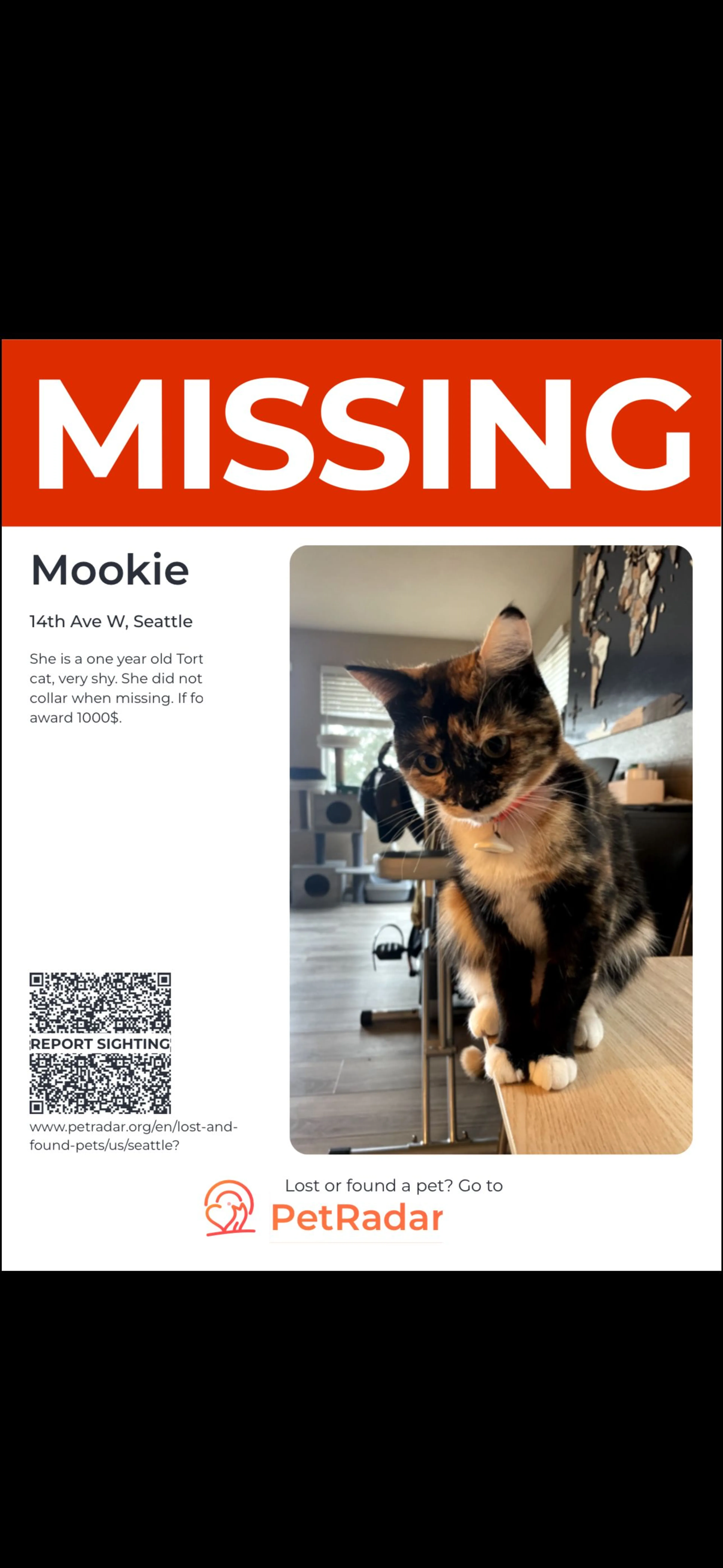 Lost pet