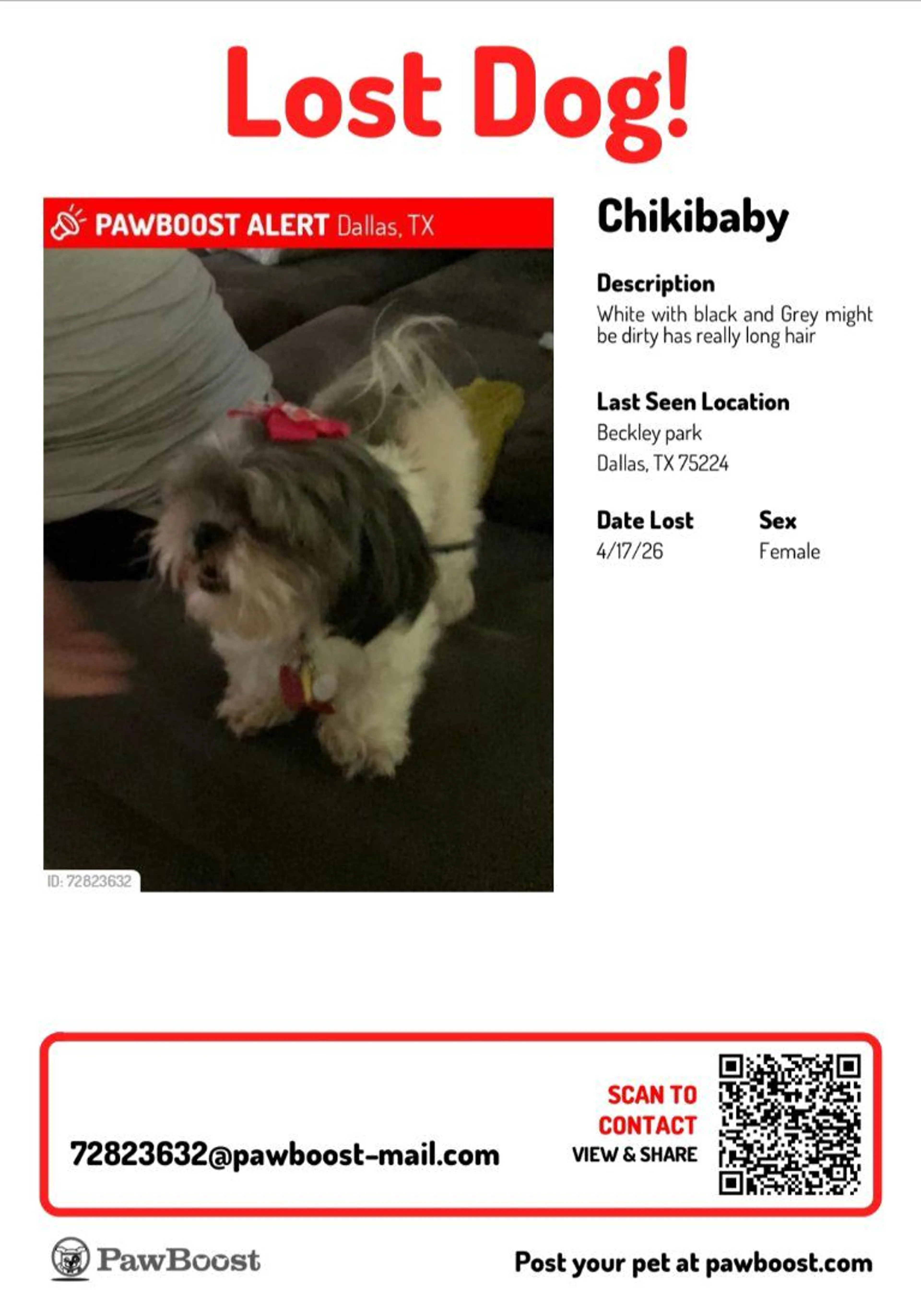 Lost pet