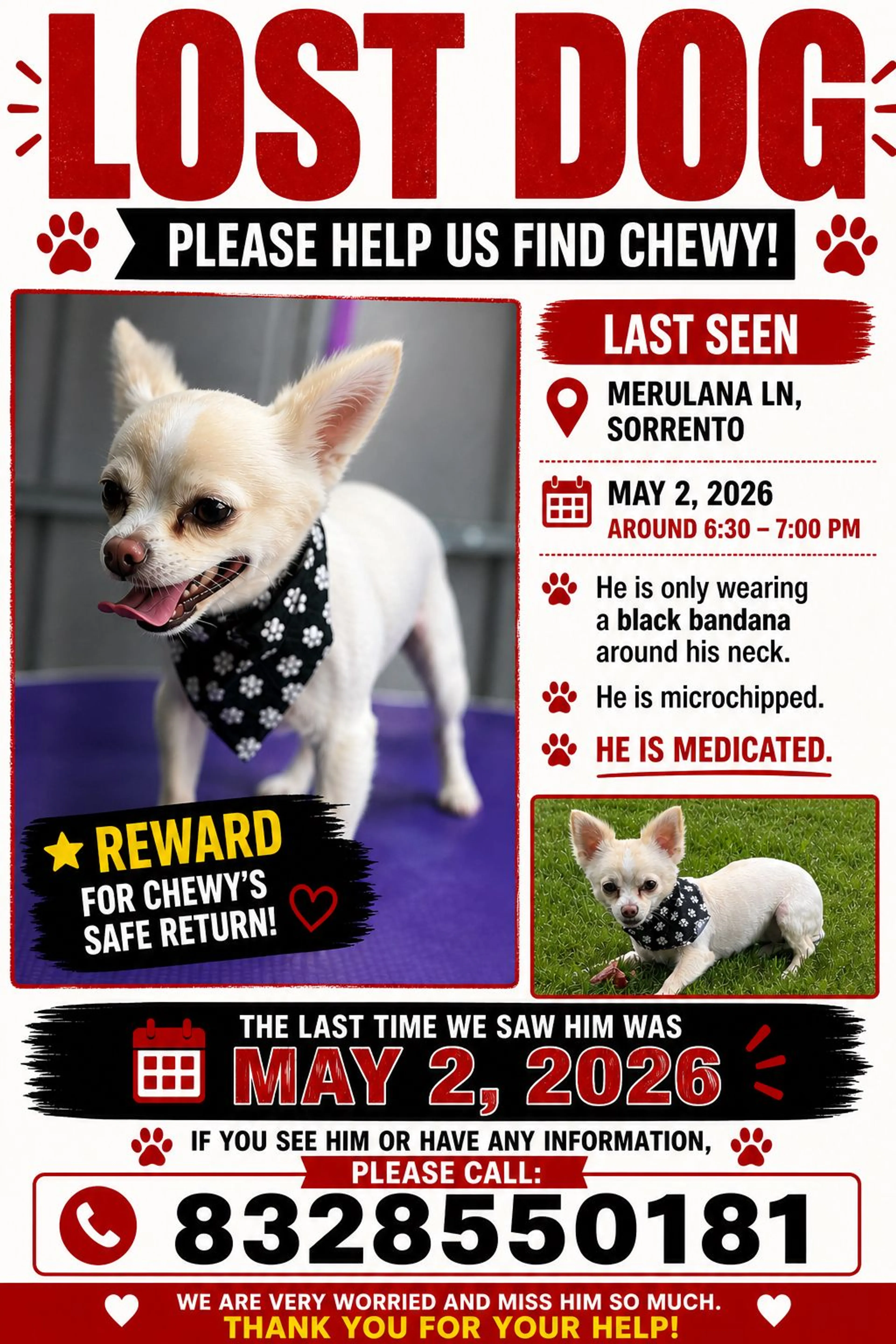 Lost pet