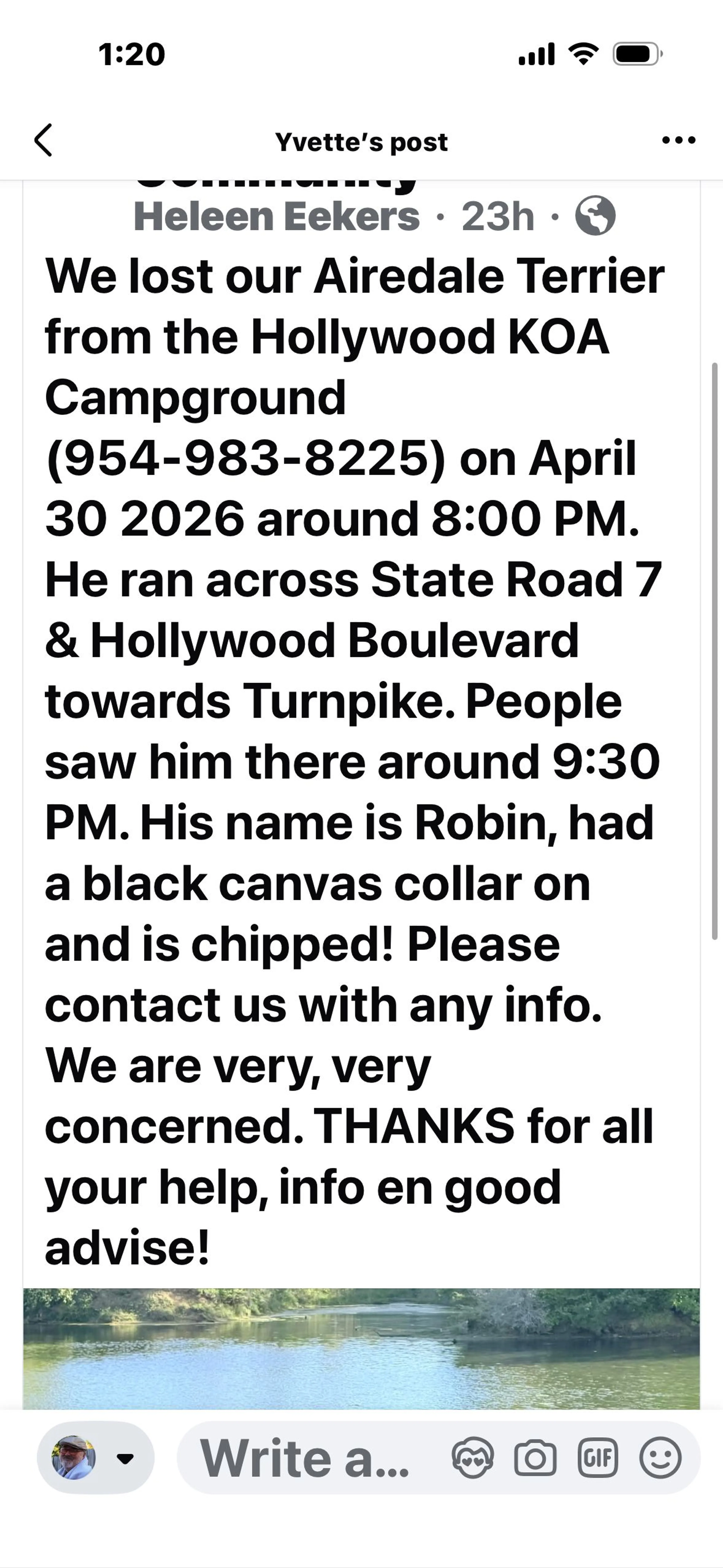 Lost pet-1