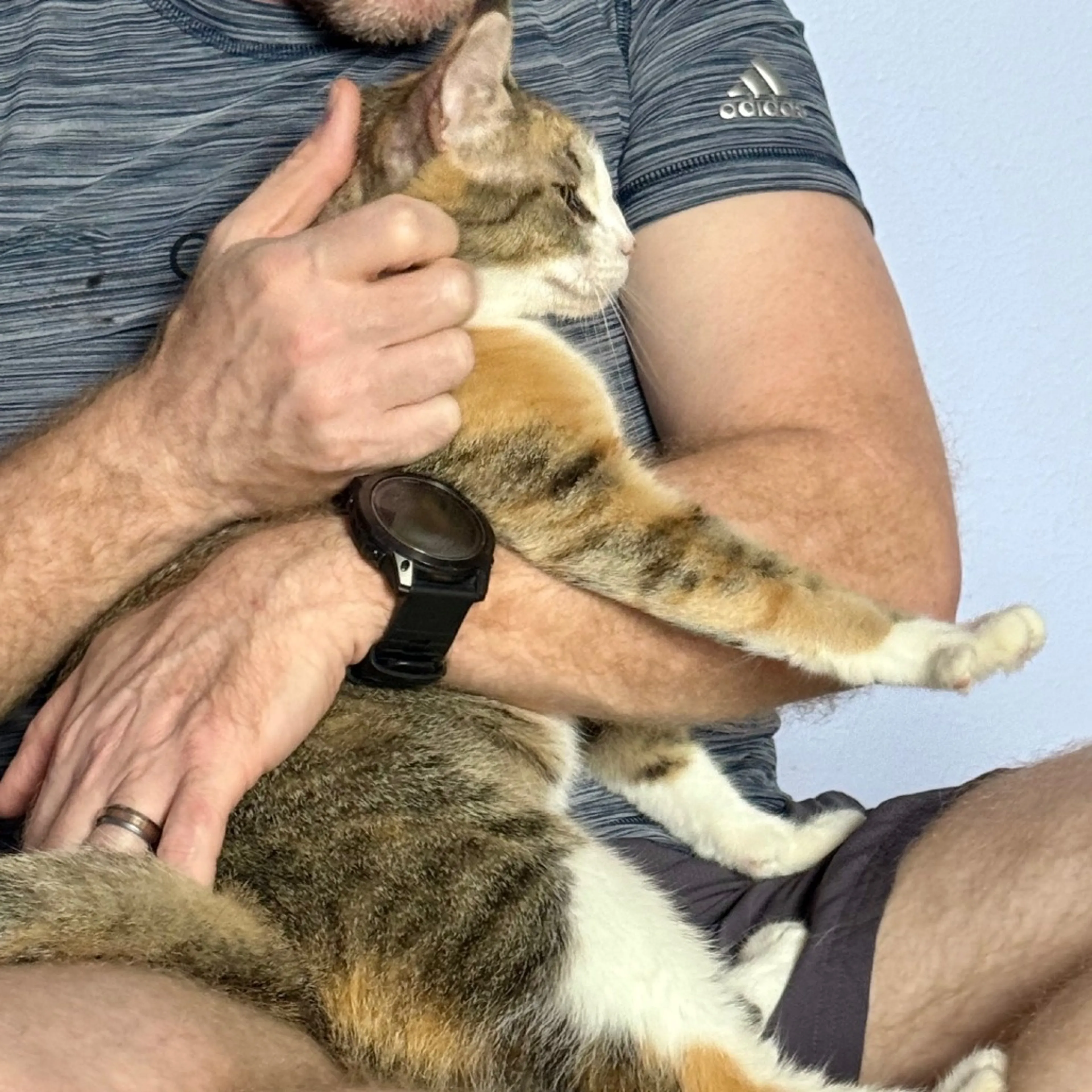 Found pet-5
