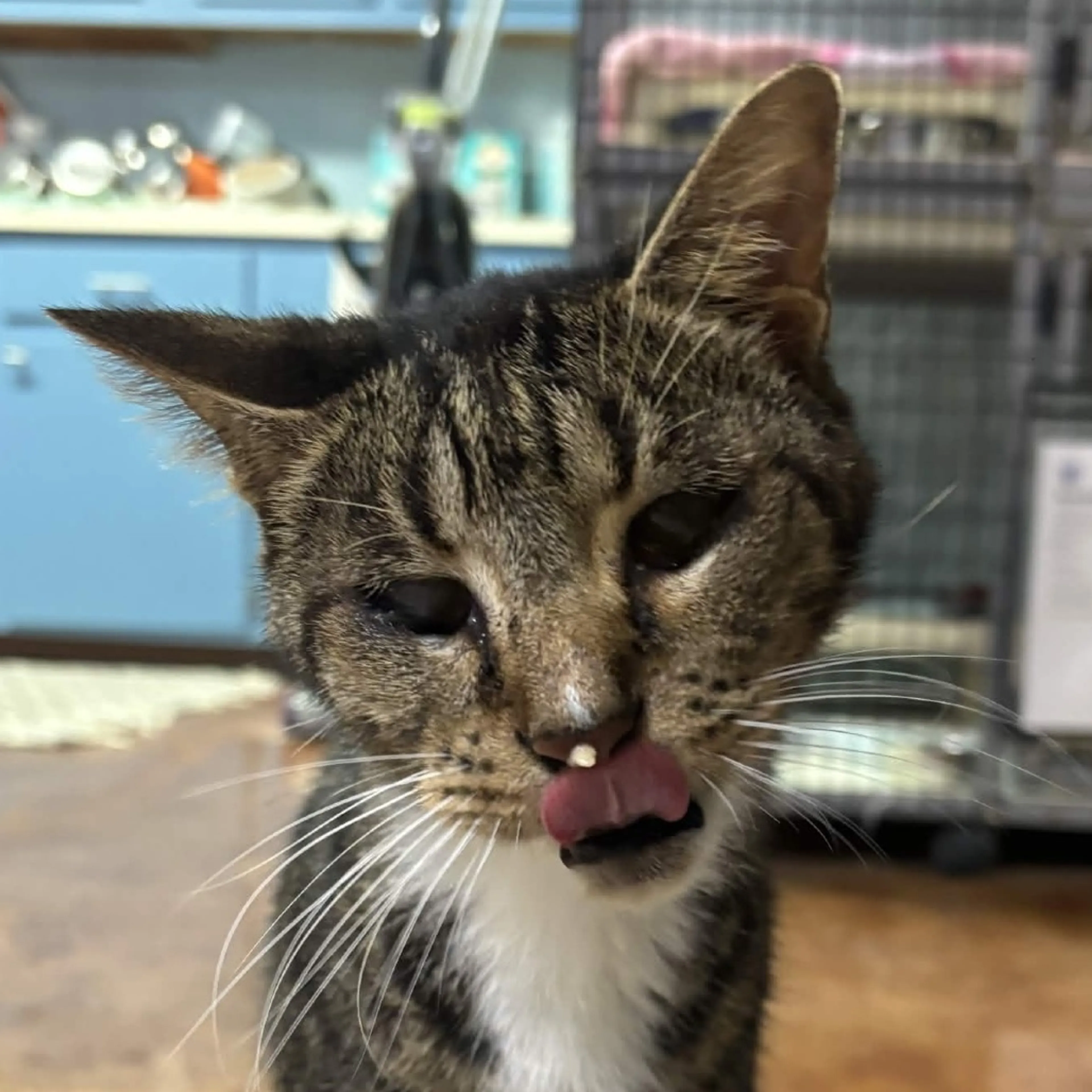 -3