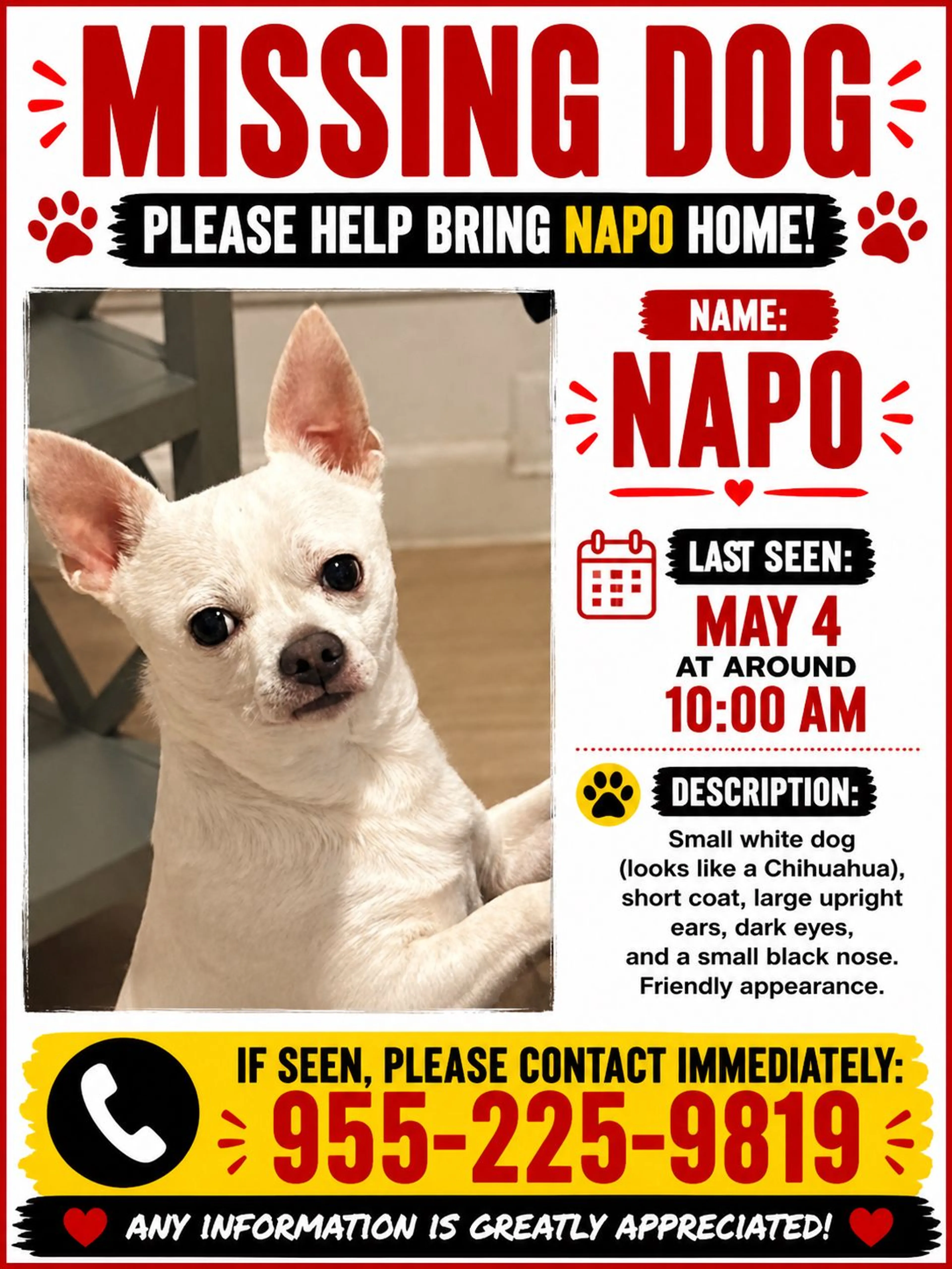 Lost pet