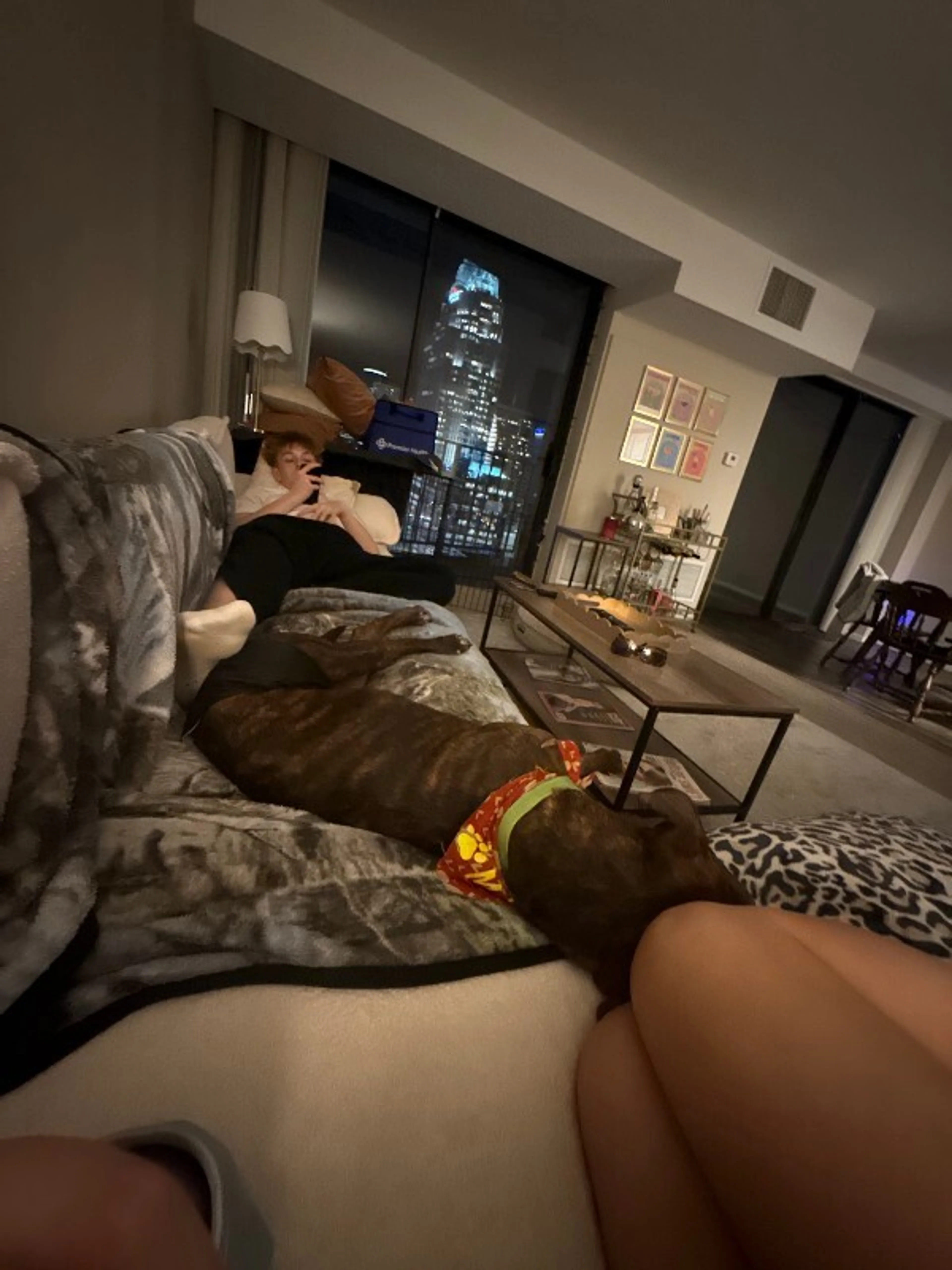 Found pet-9