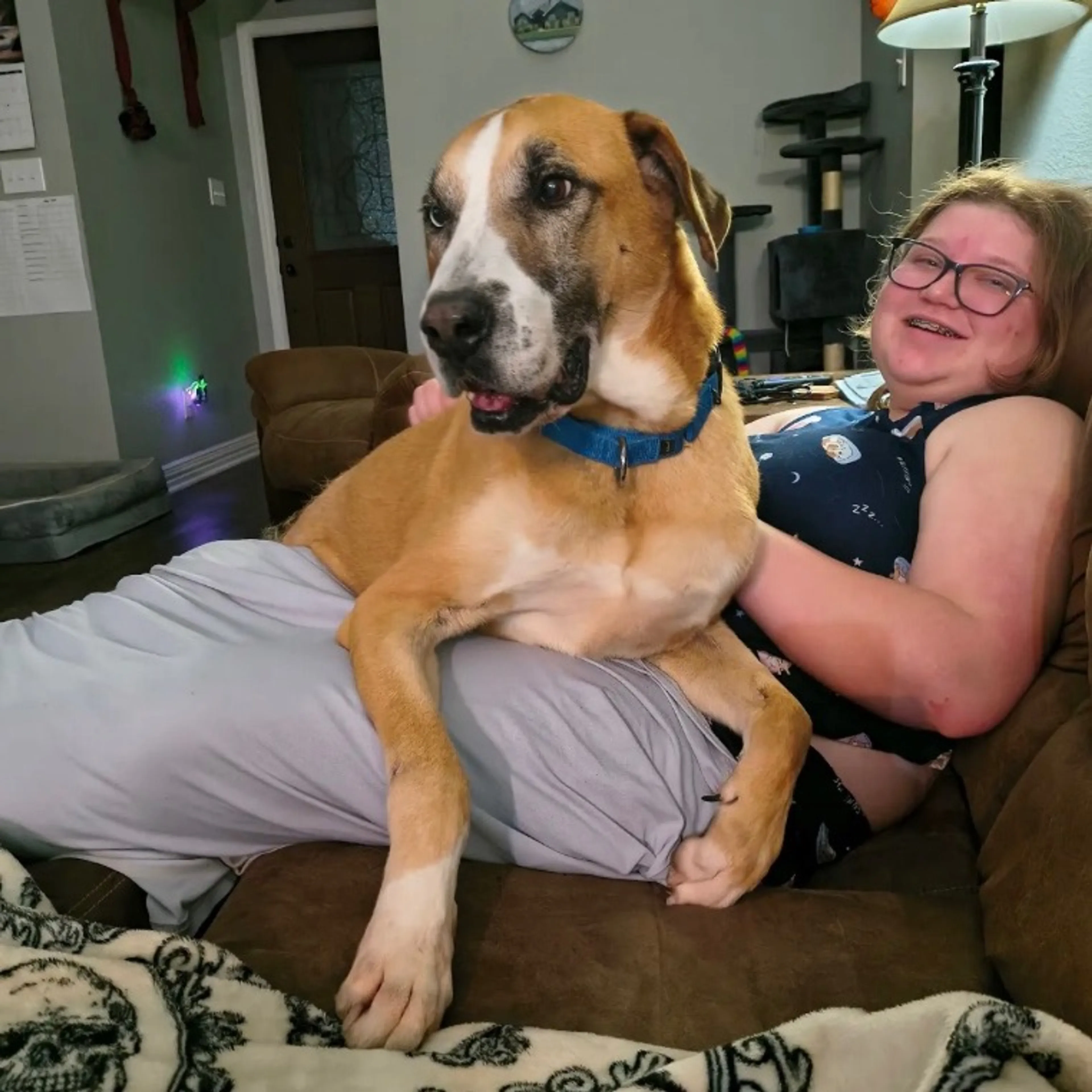 Found pet-14