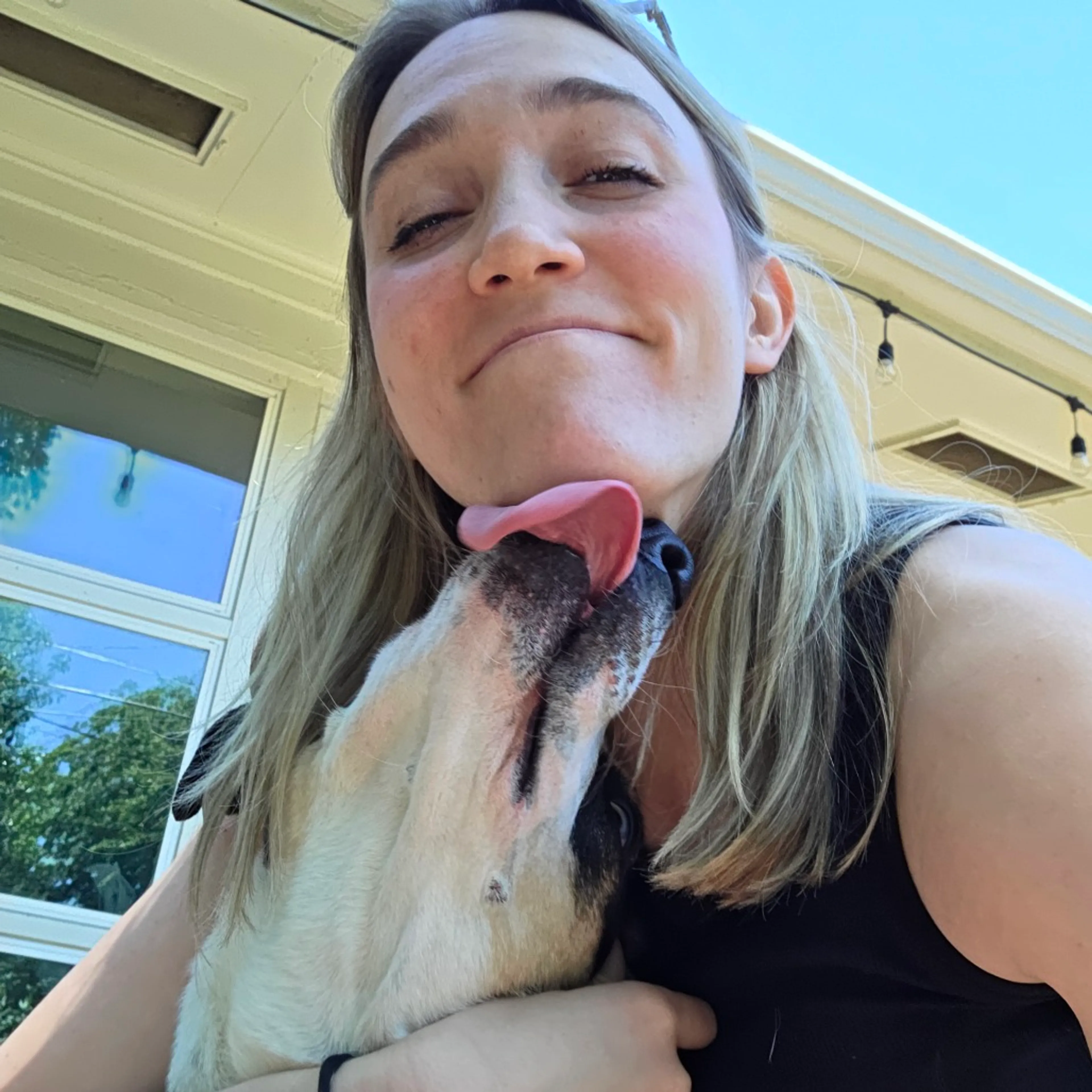 Found pet-2
