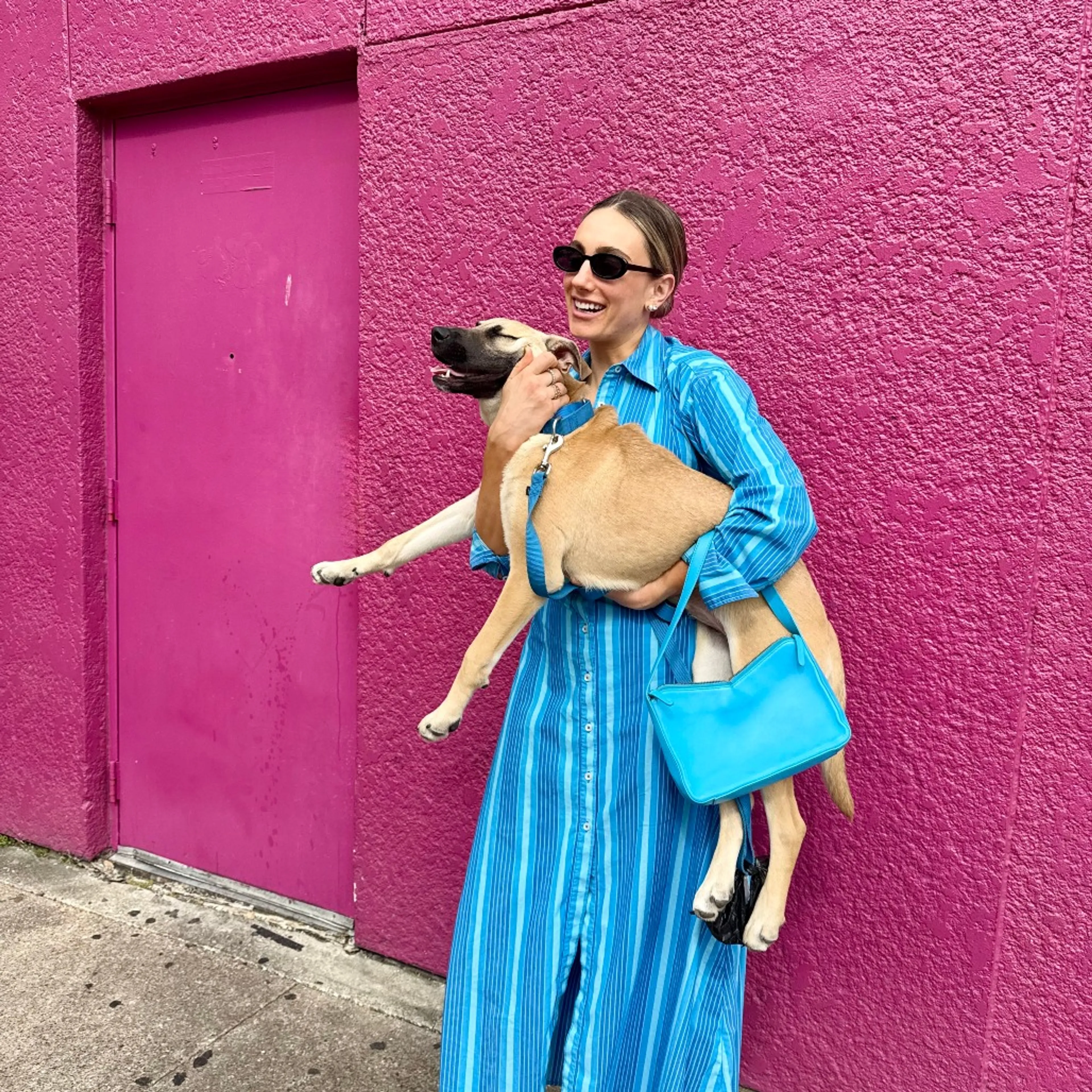 Found pet-6