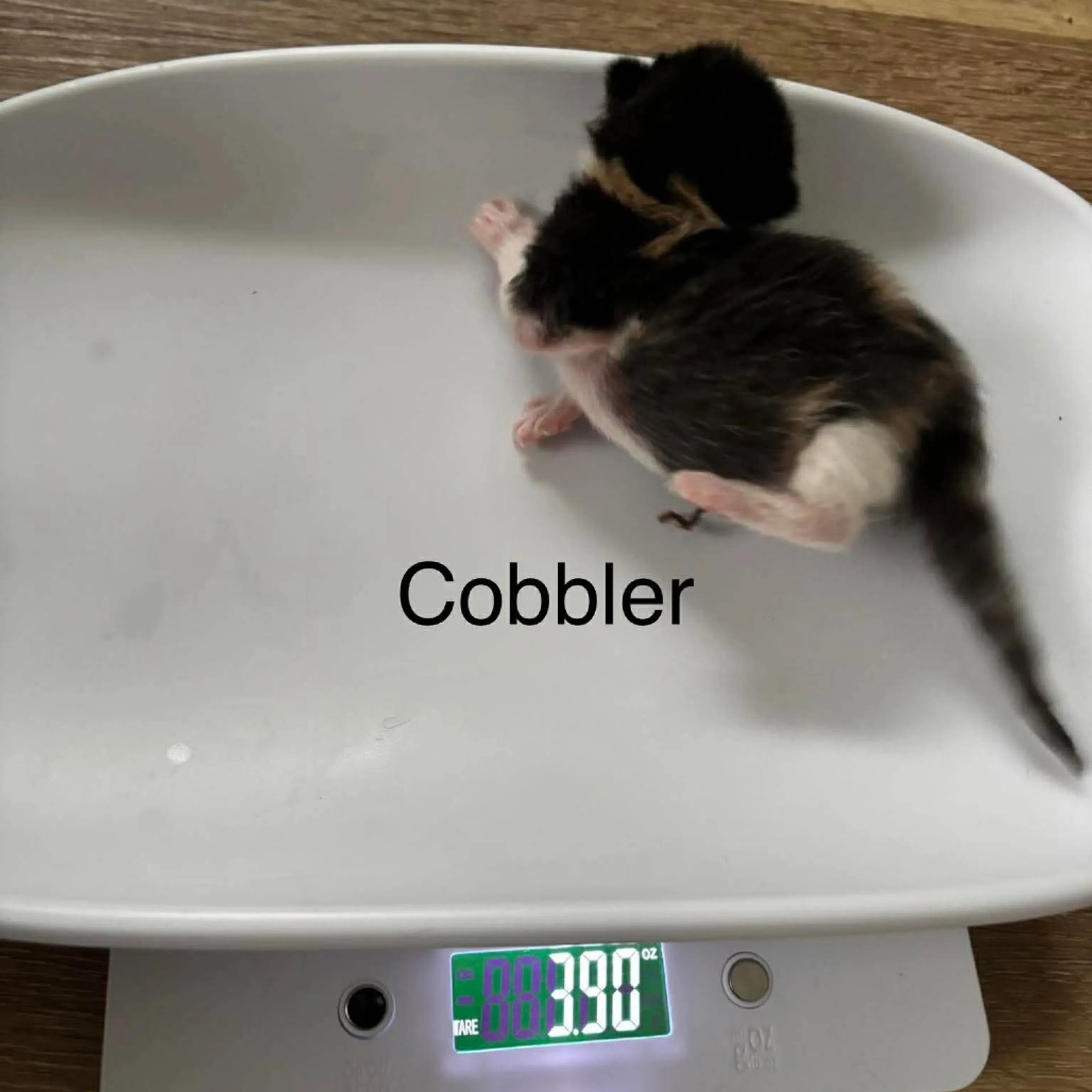 -2