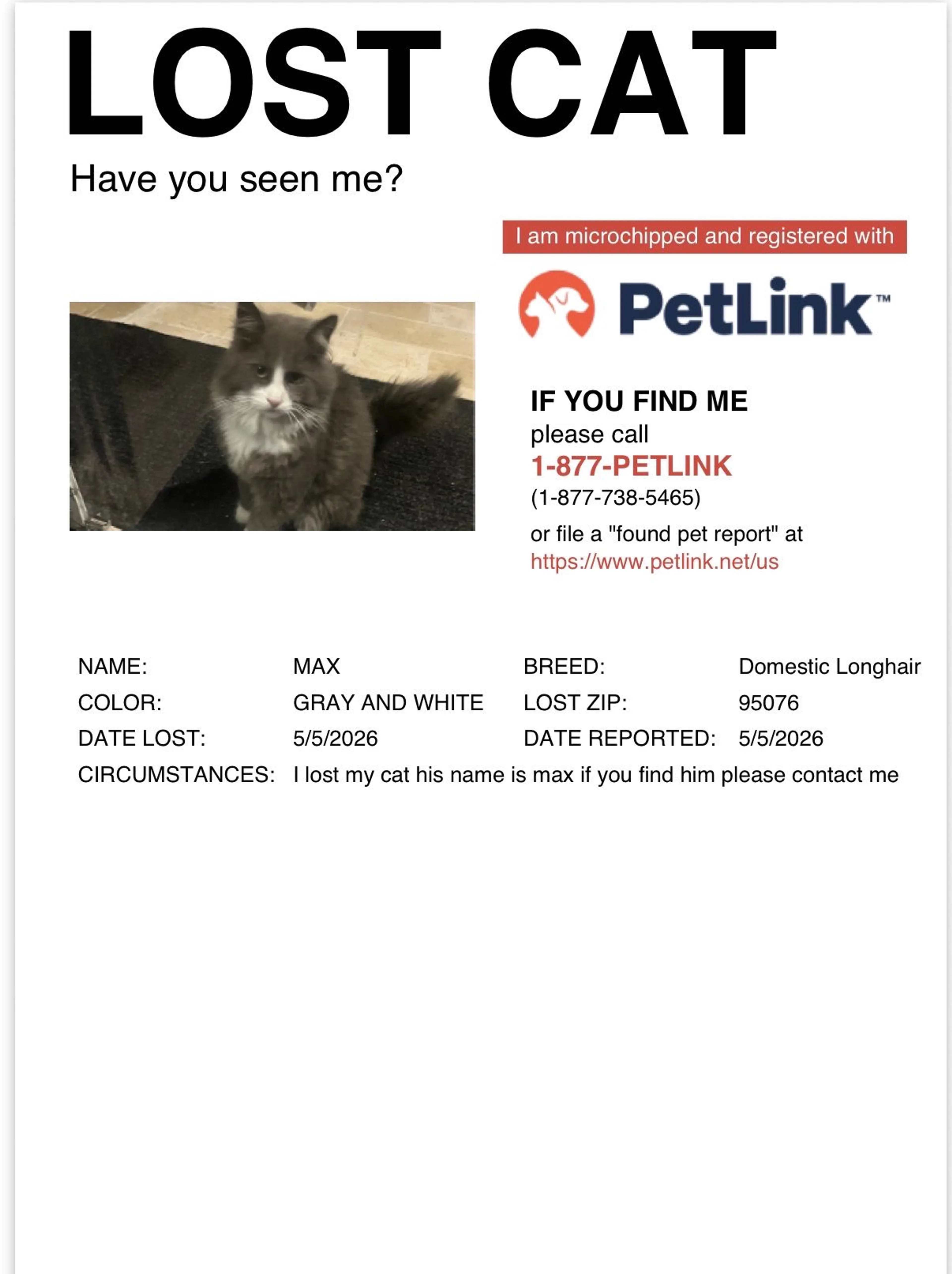 Lost pet