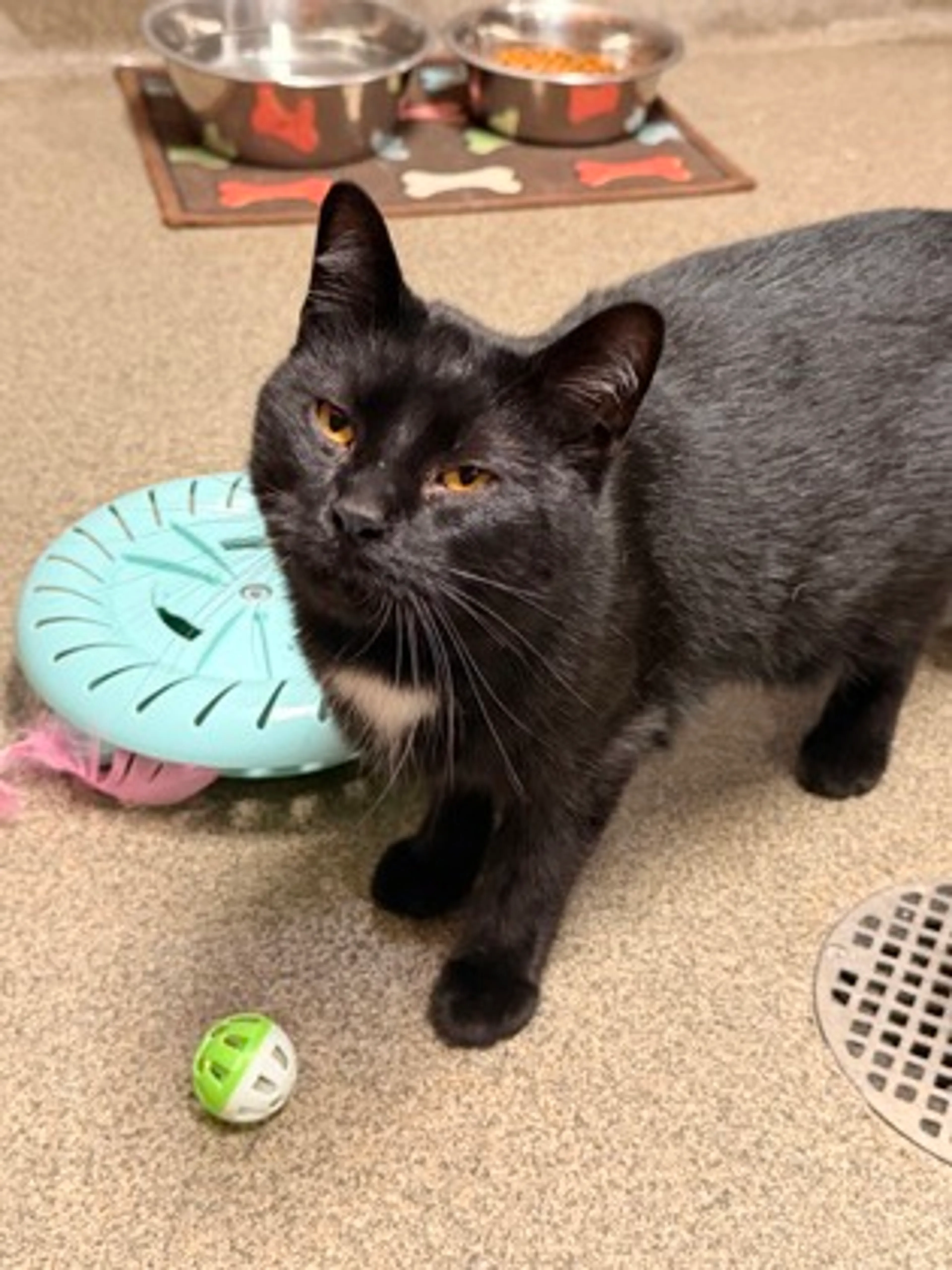 -2