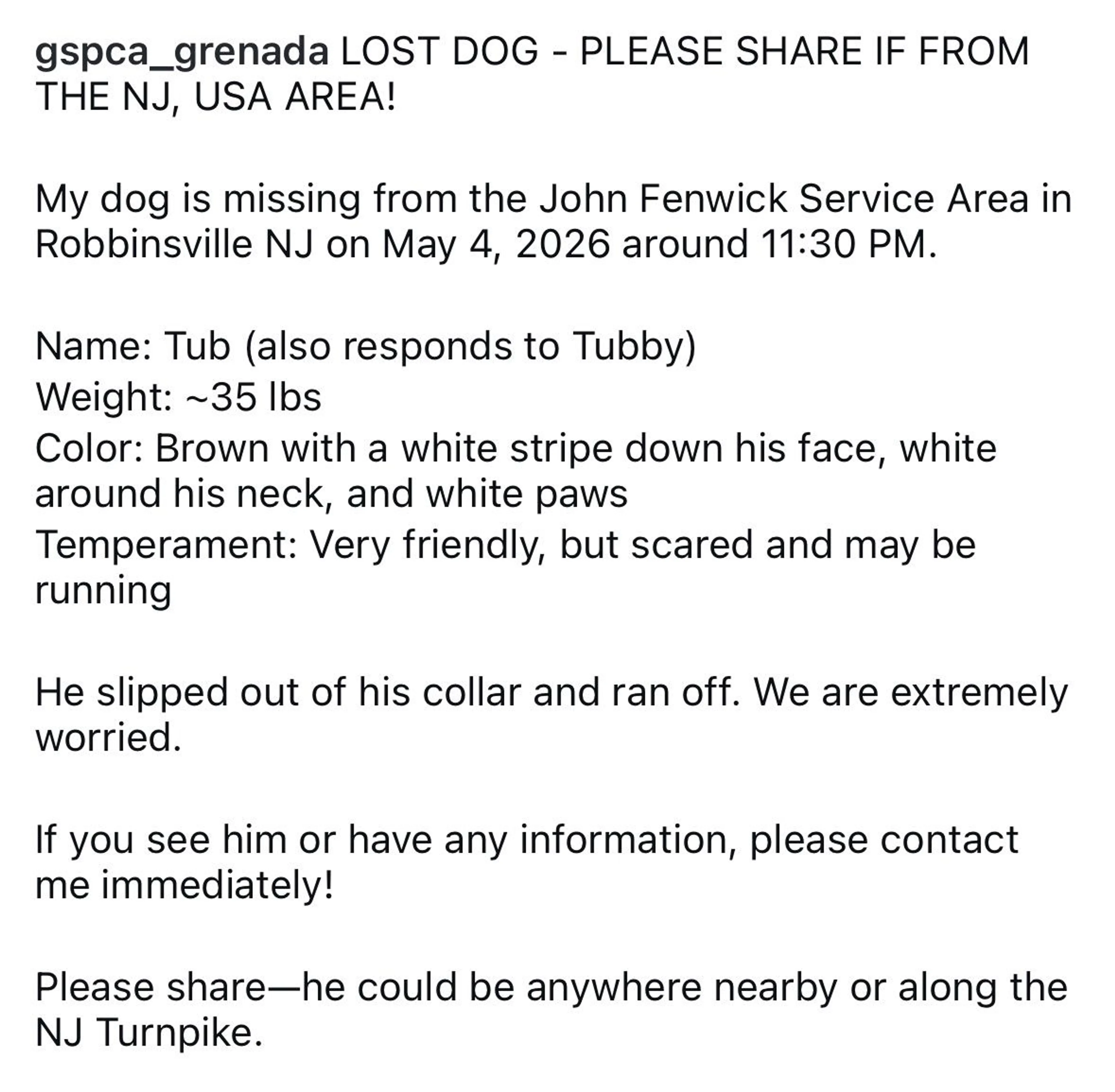 Lost pet-1