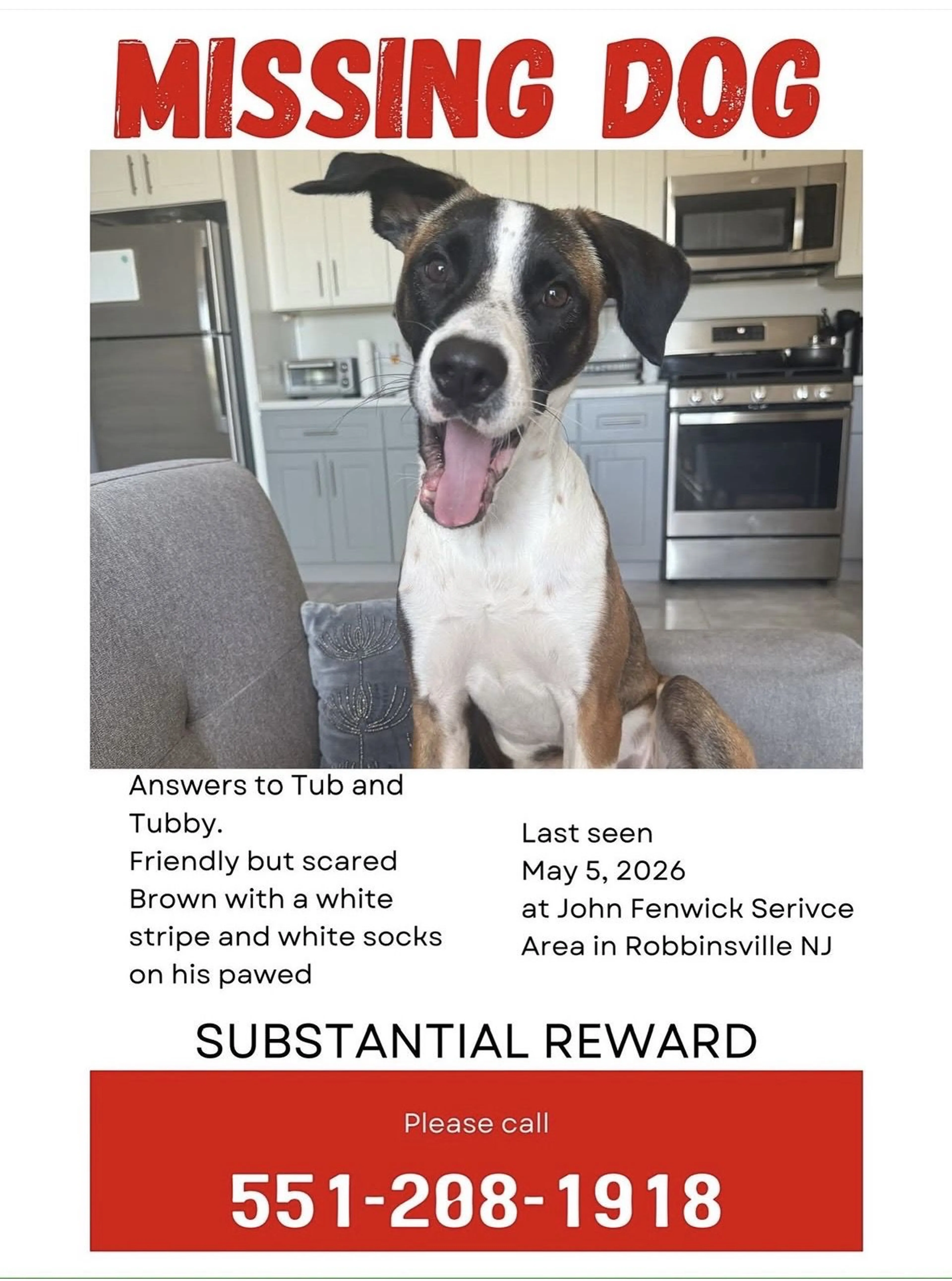 Lost pet-0