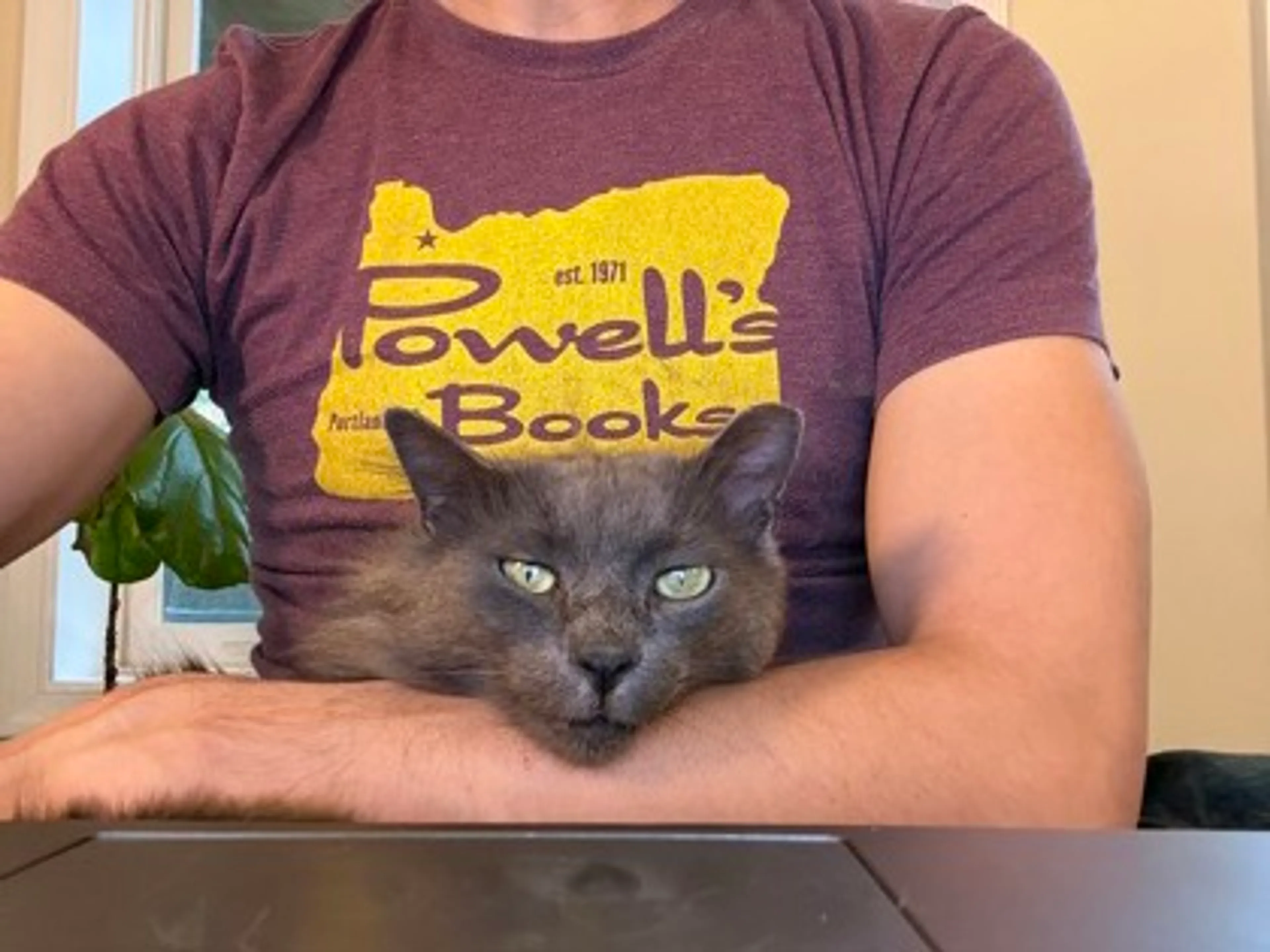 Found pet-2
