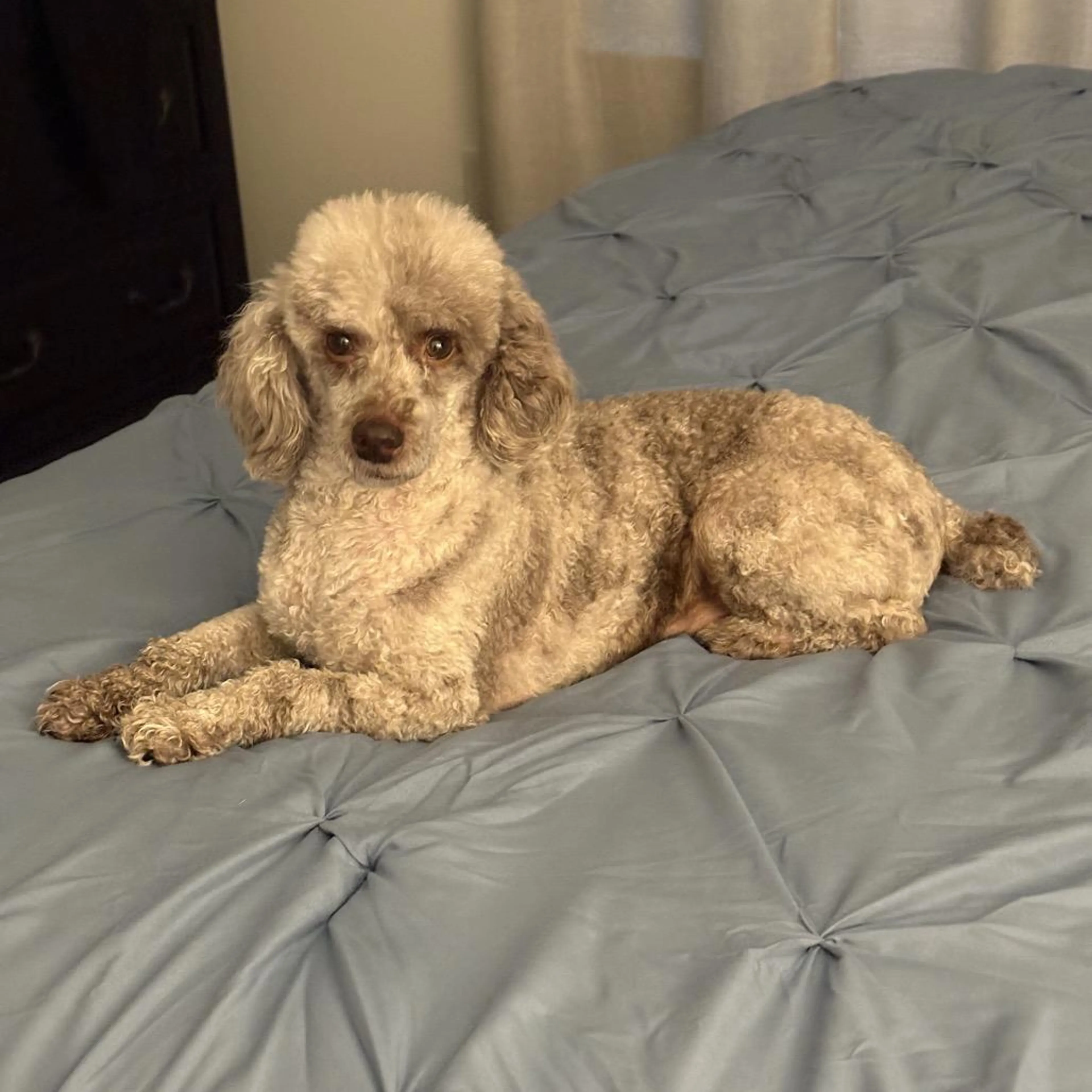 -5