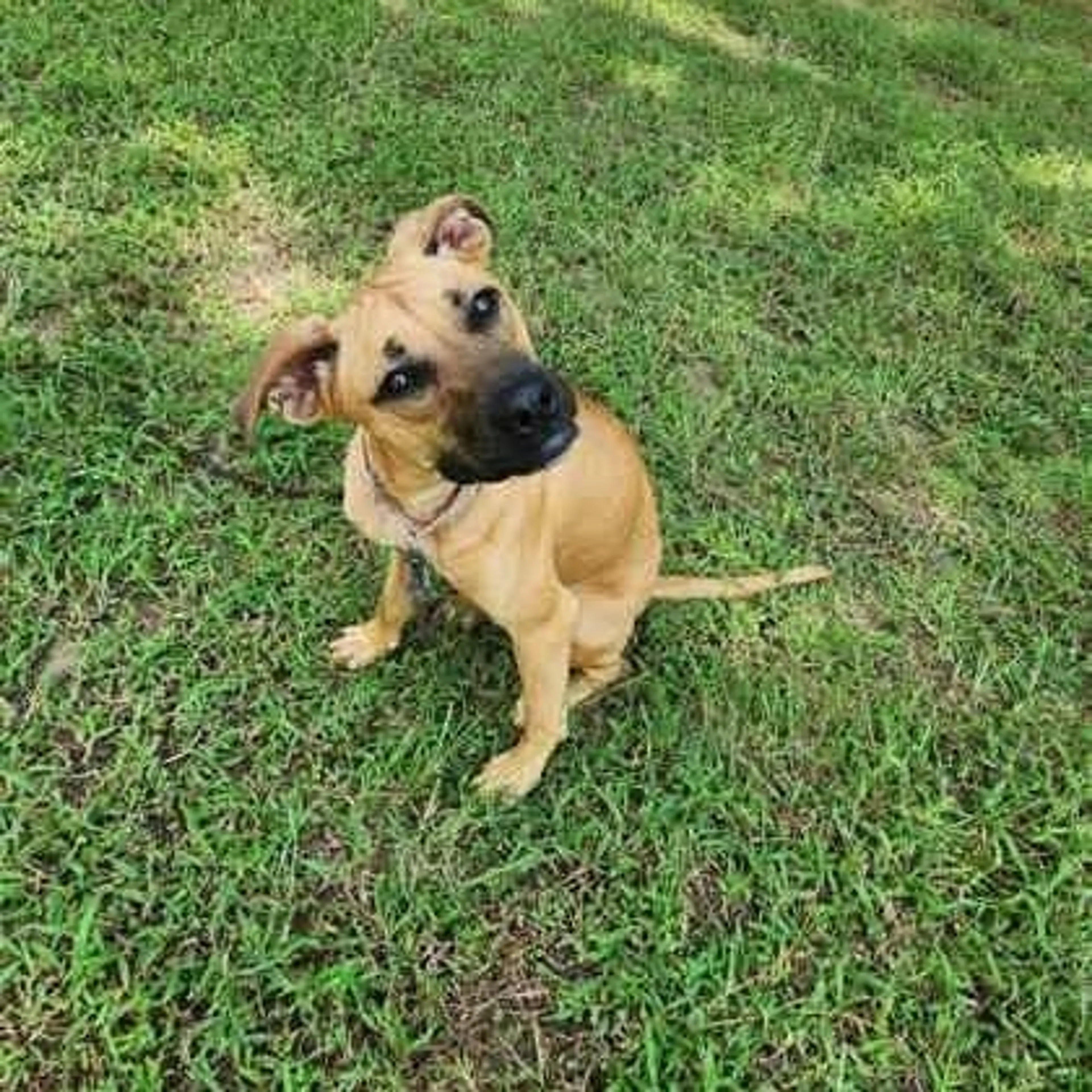 -0