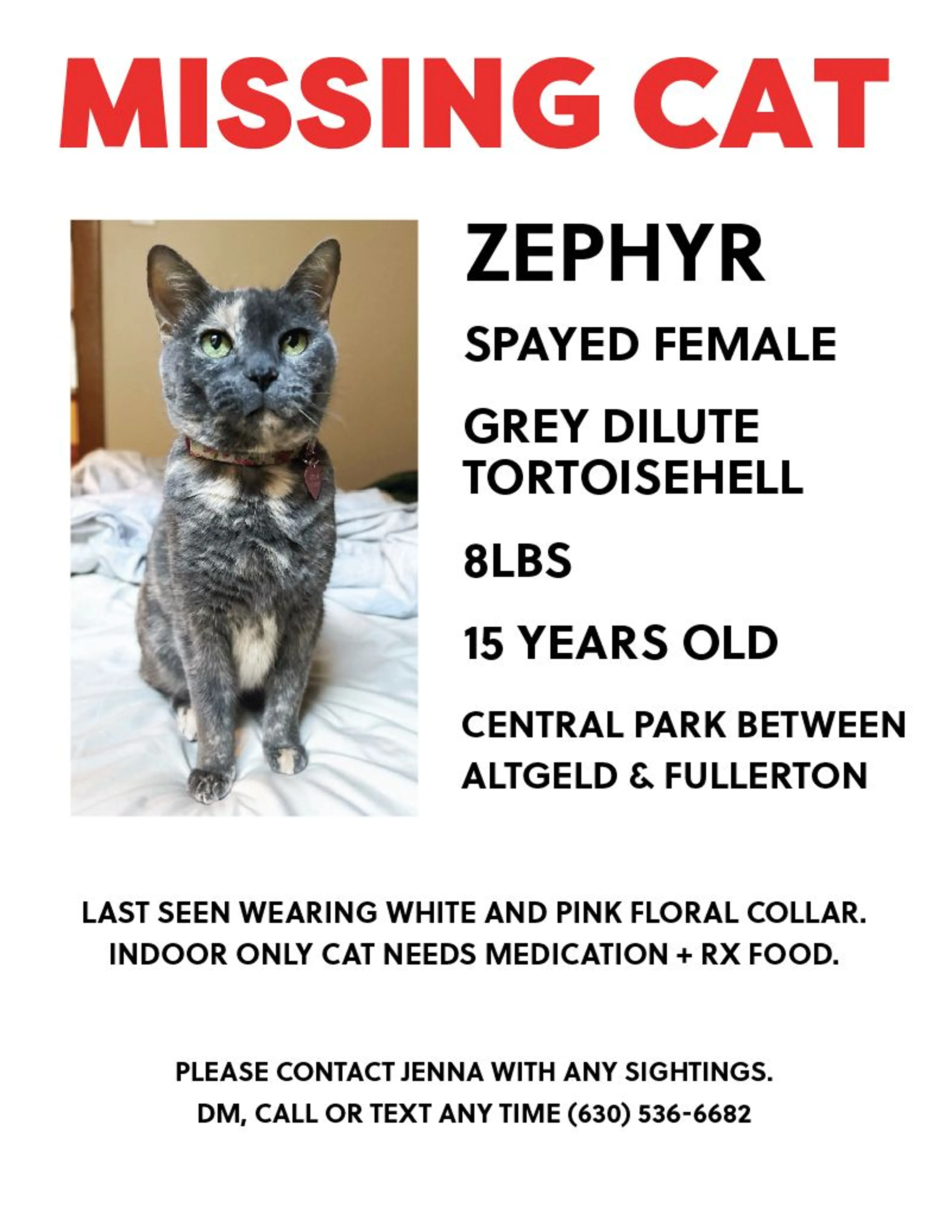 Lost pet-0