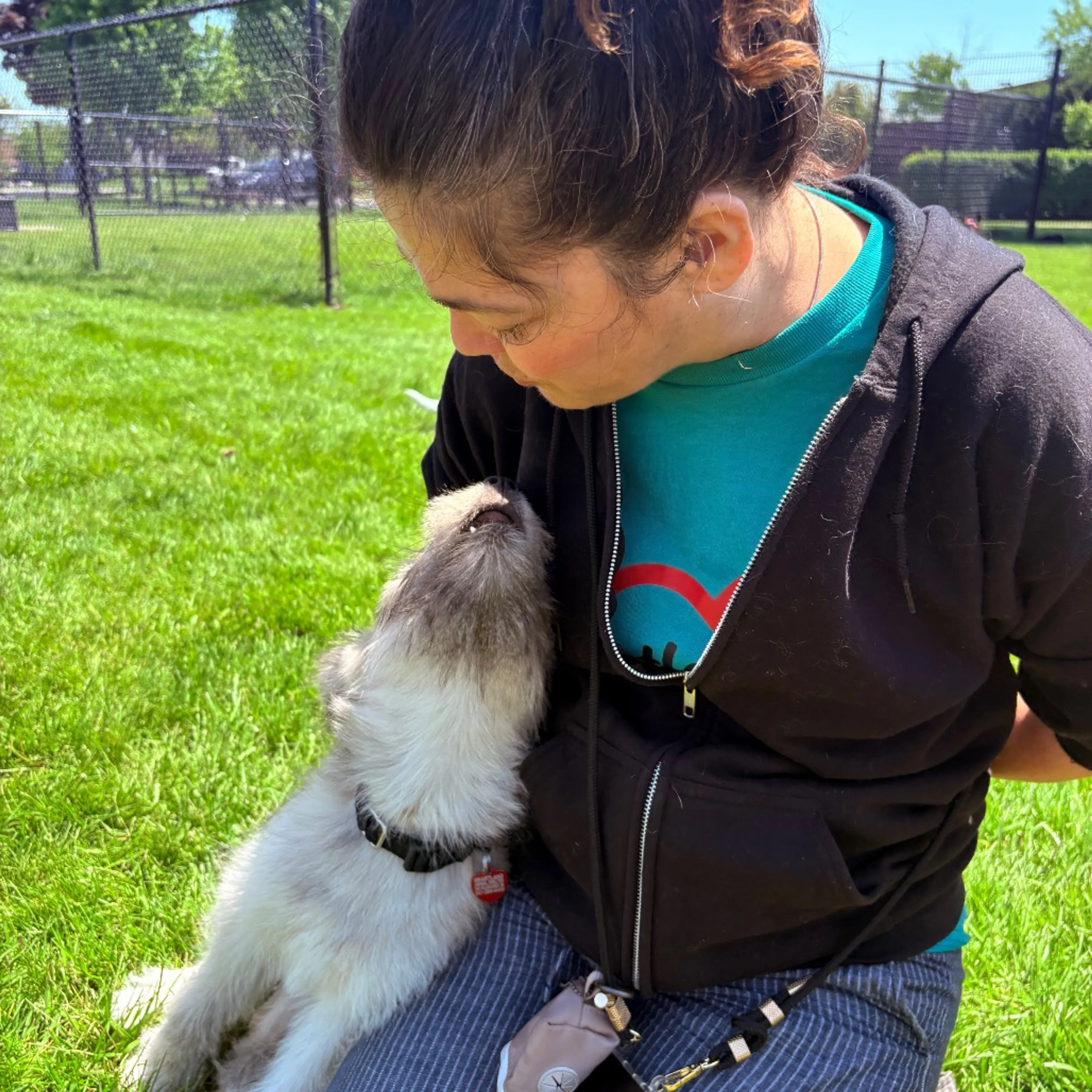 Found pet-15