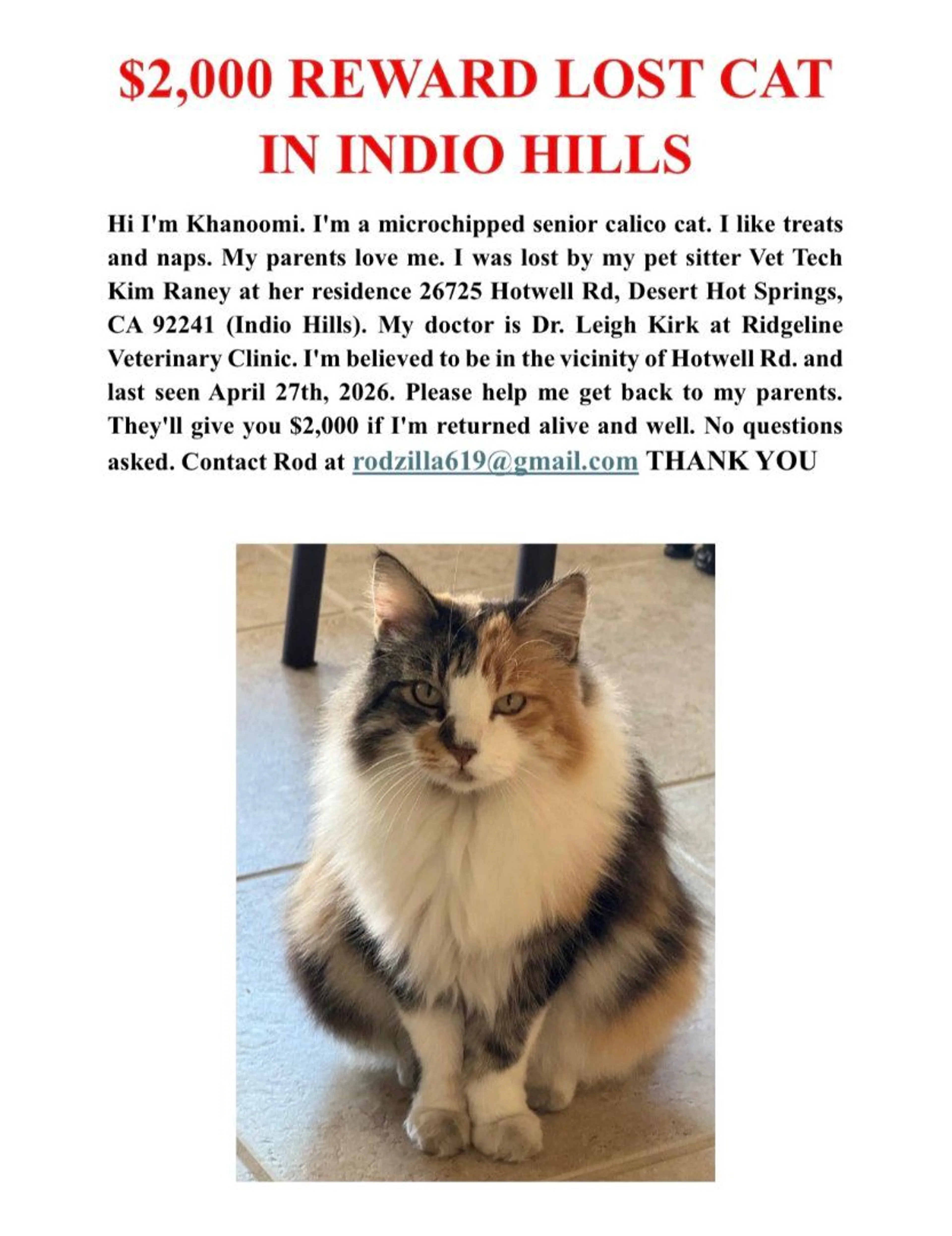 Lost pet-0