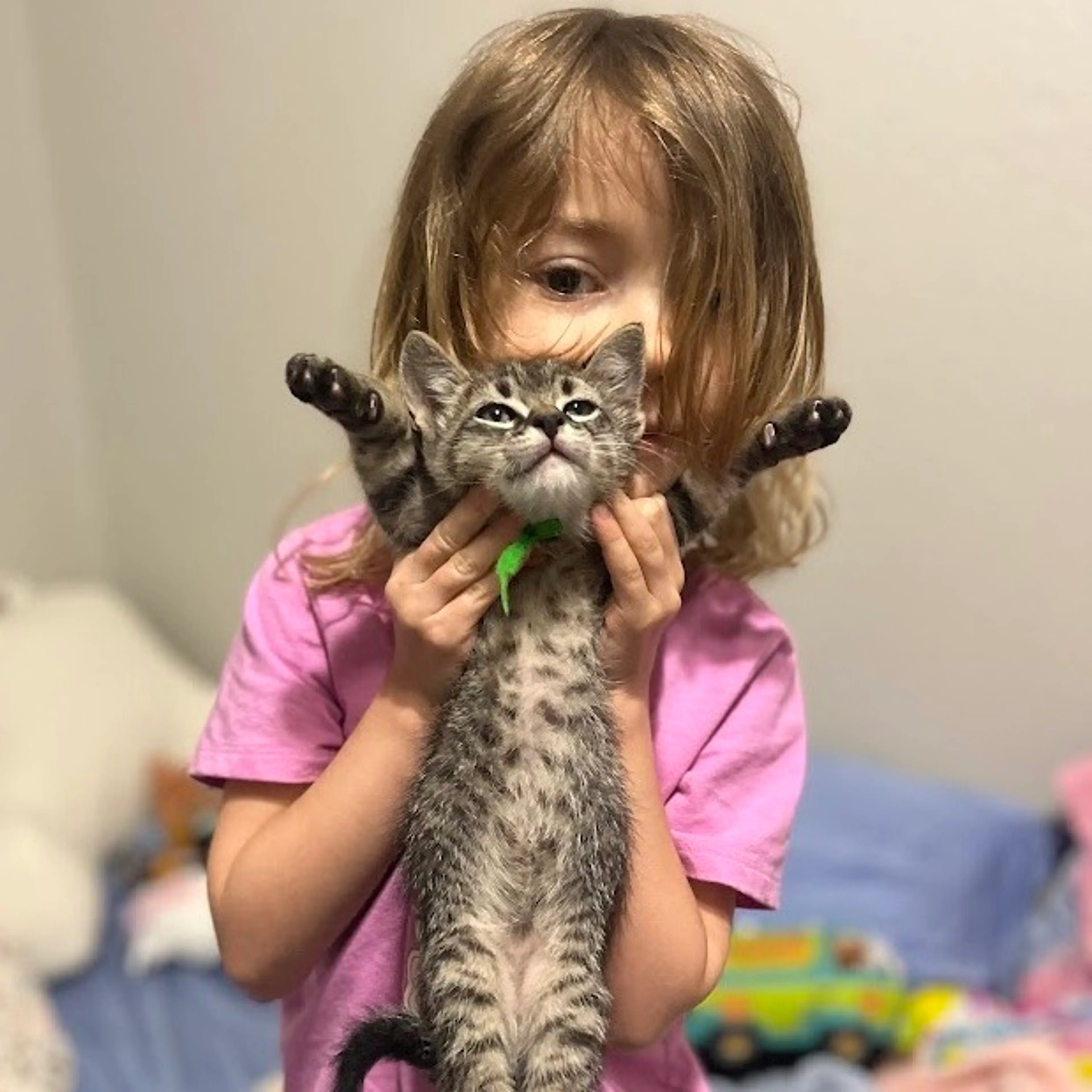 Found pet-4