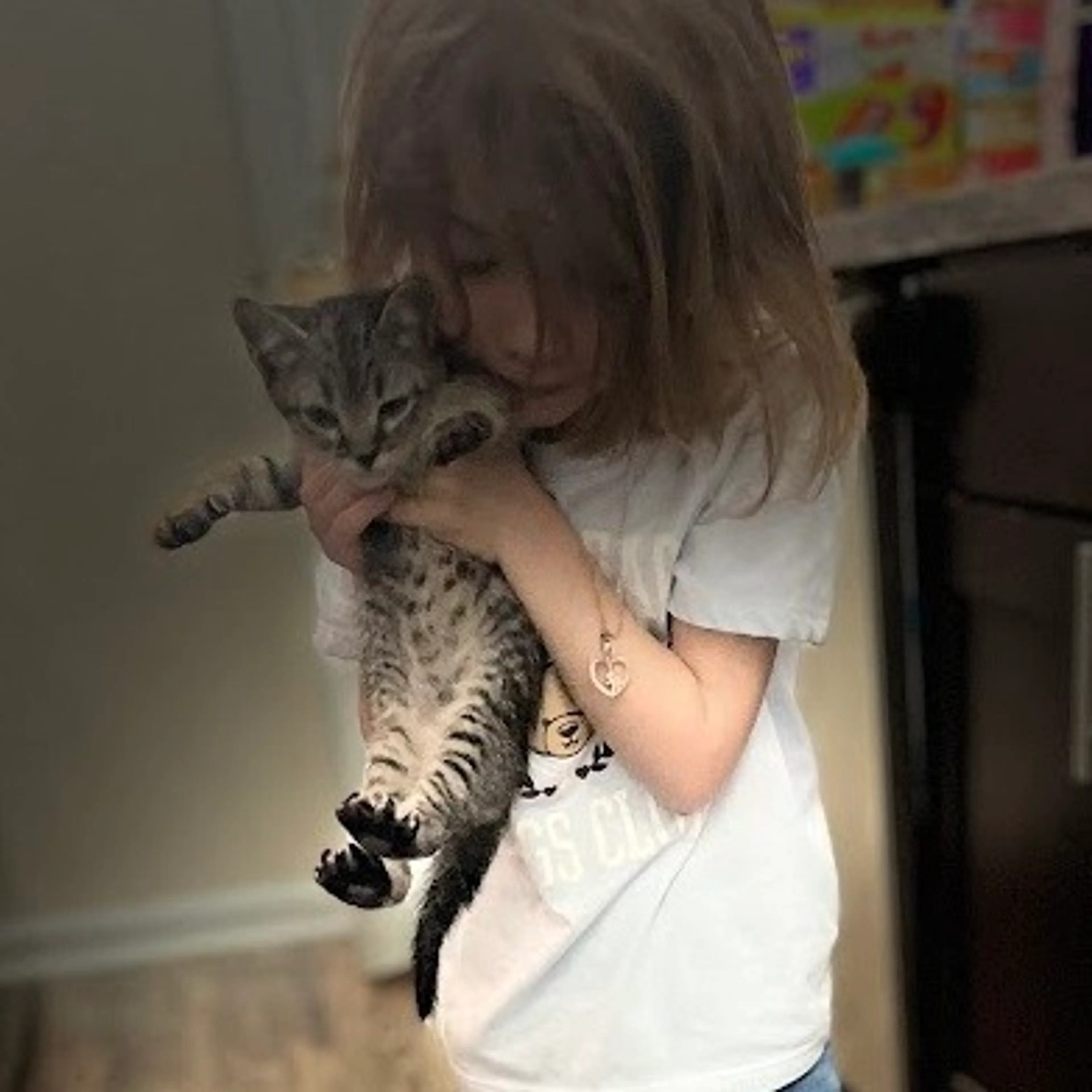 Found pet-5