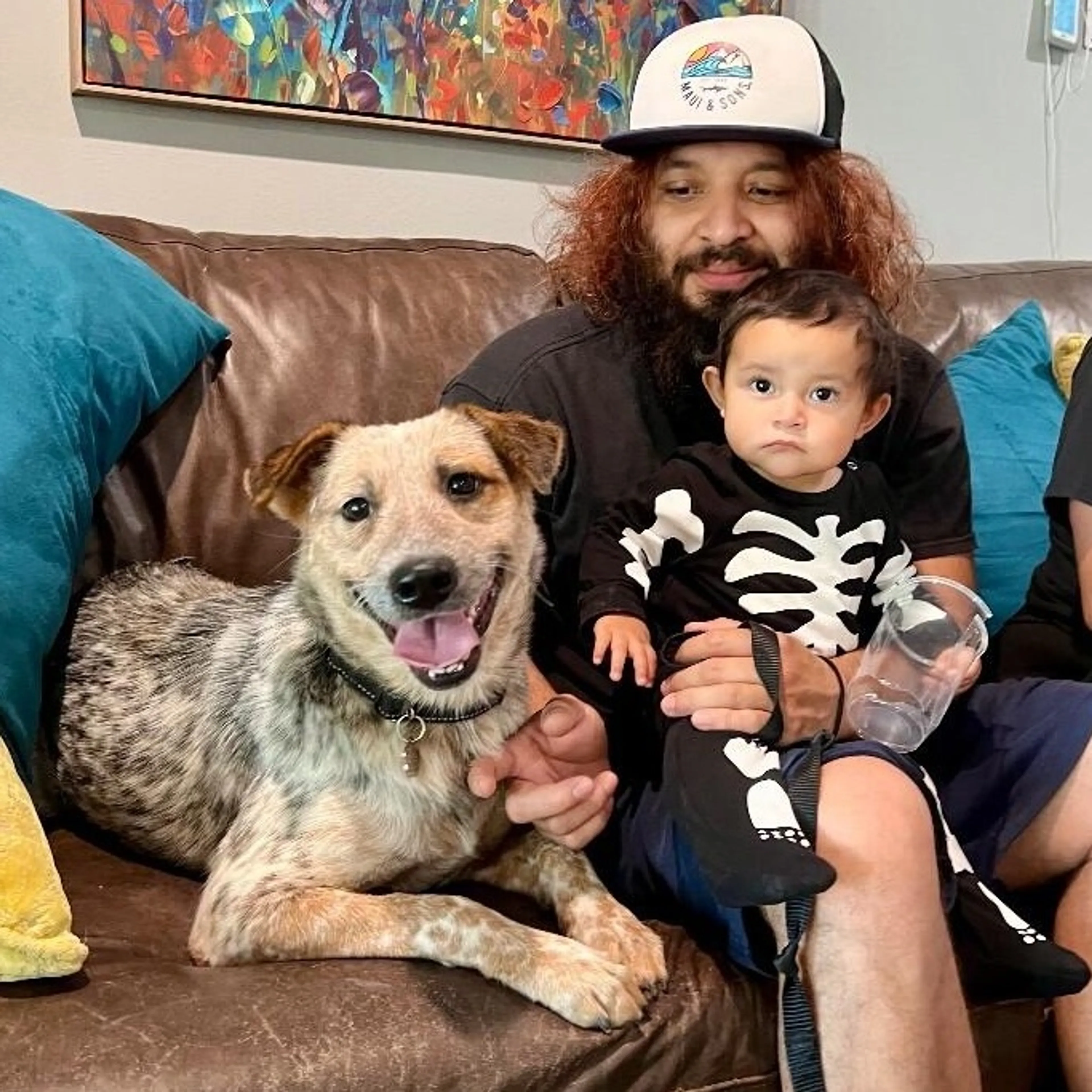 Found pet-1