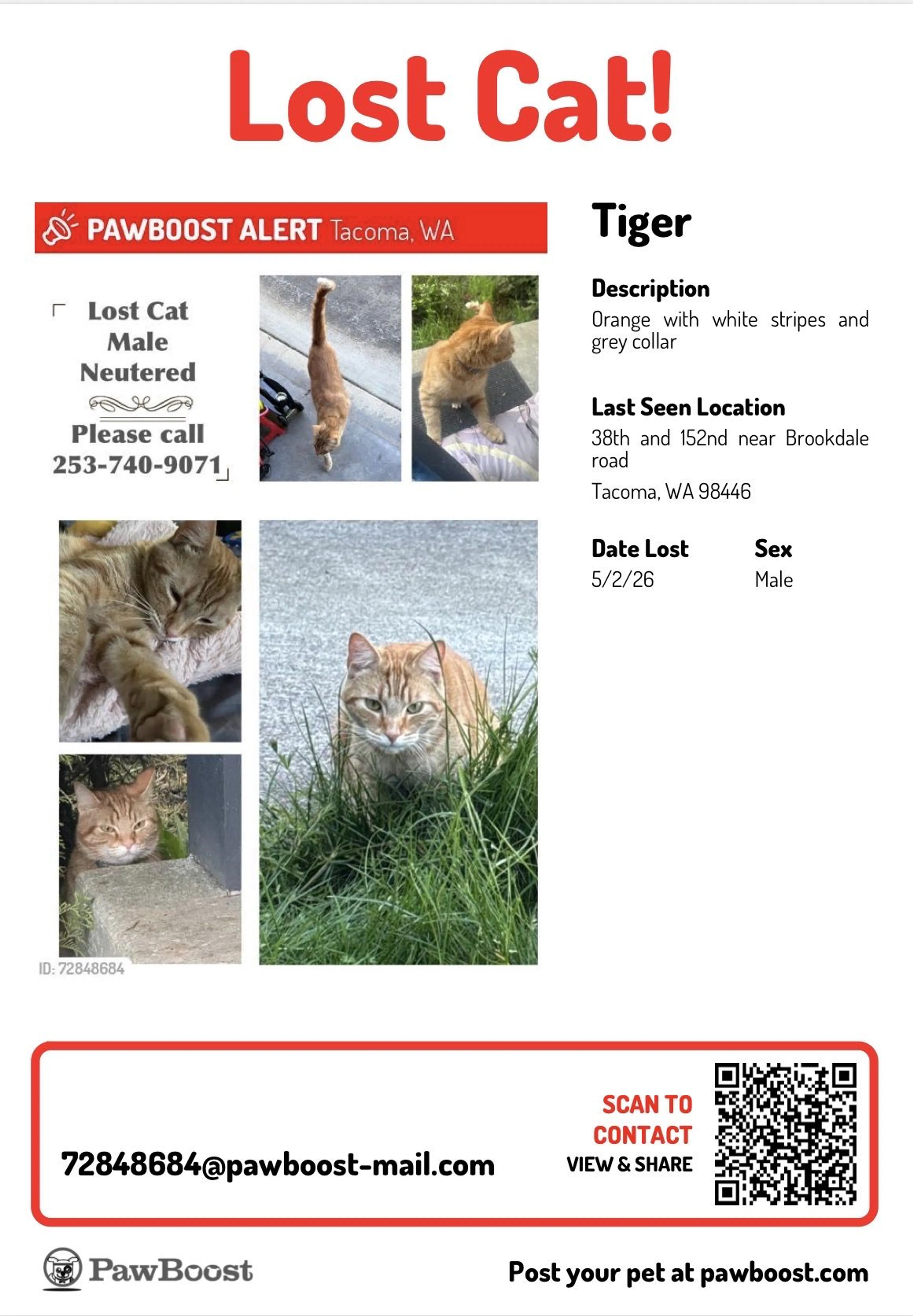 Lost pet