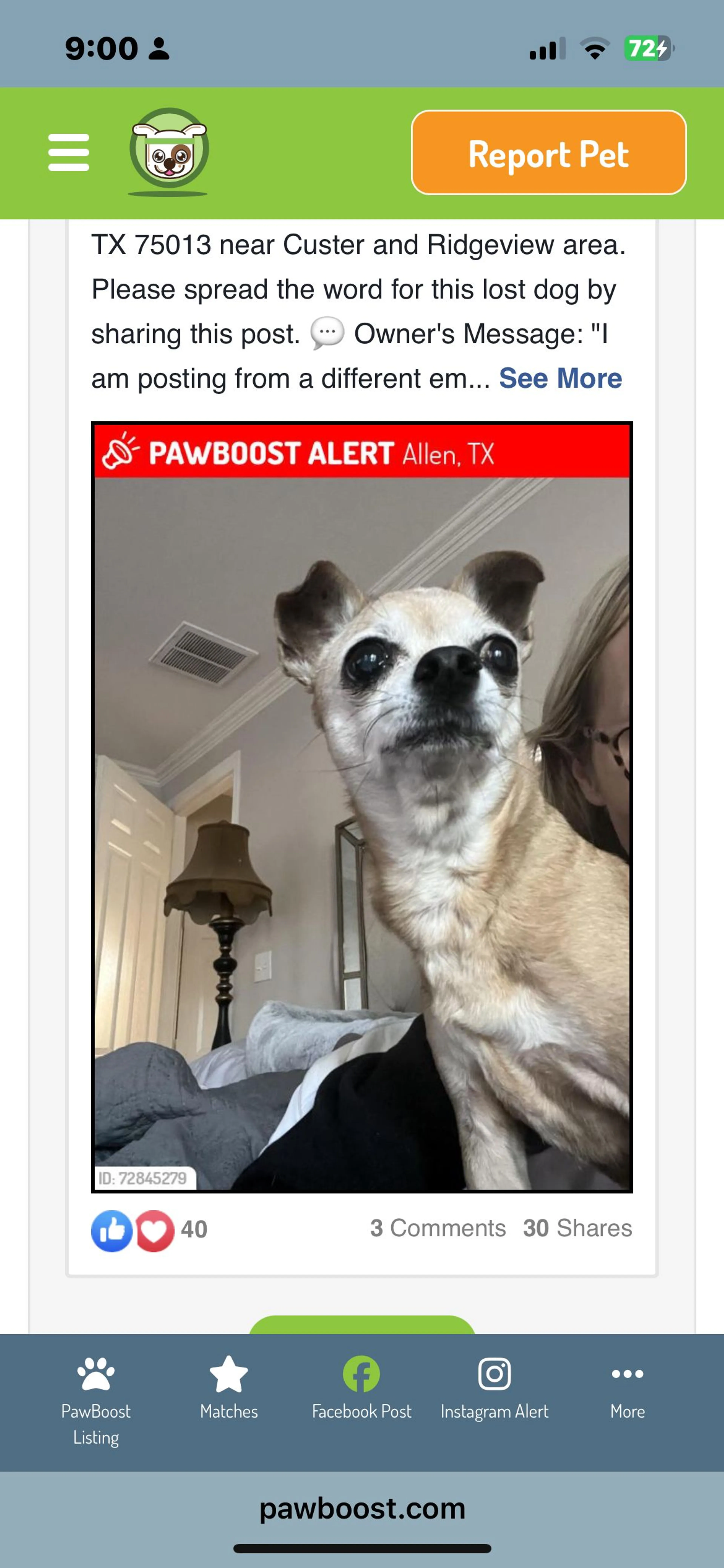 Lost pet