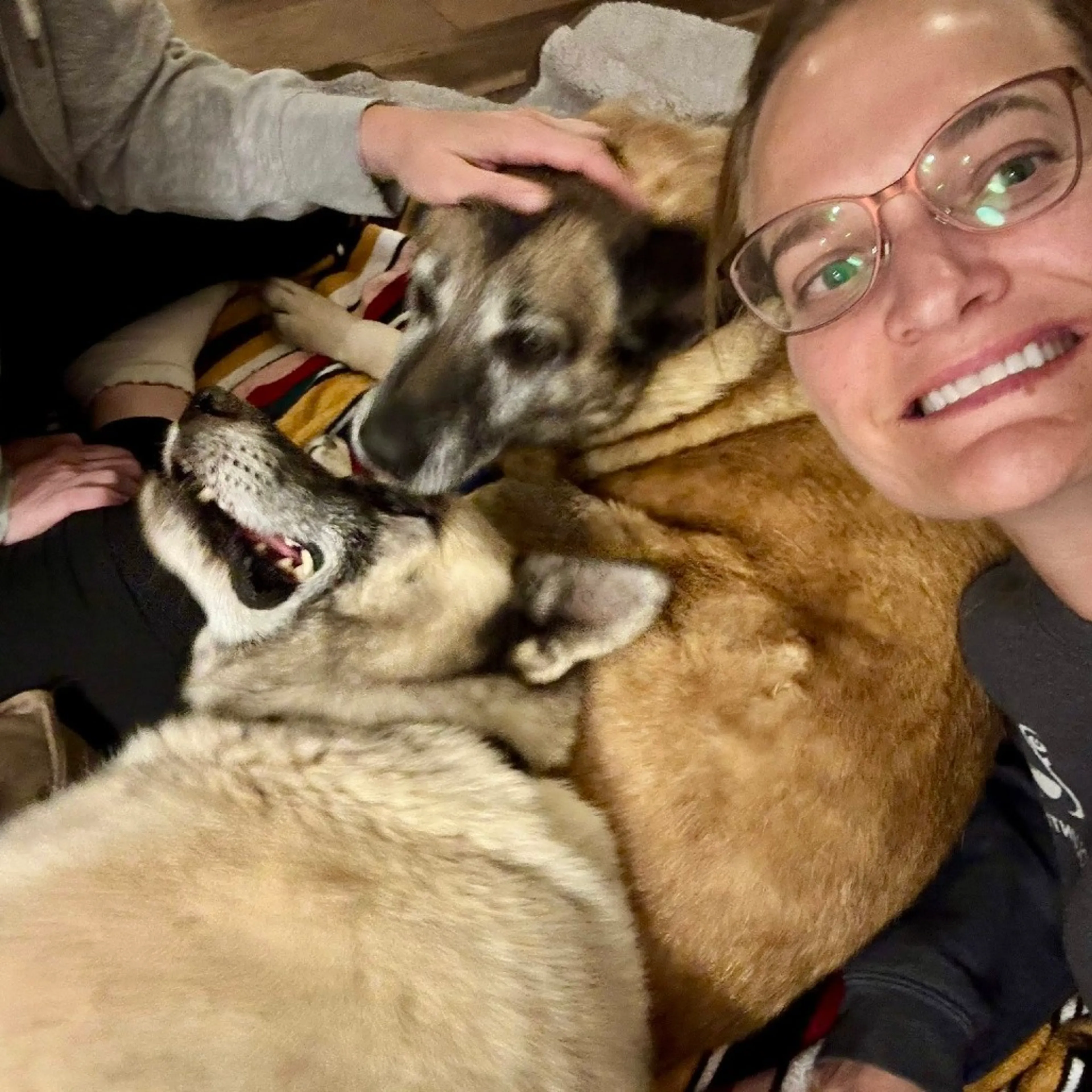 Found pet-9