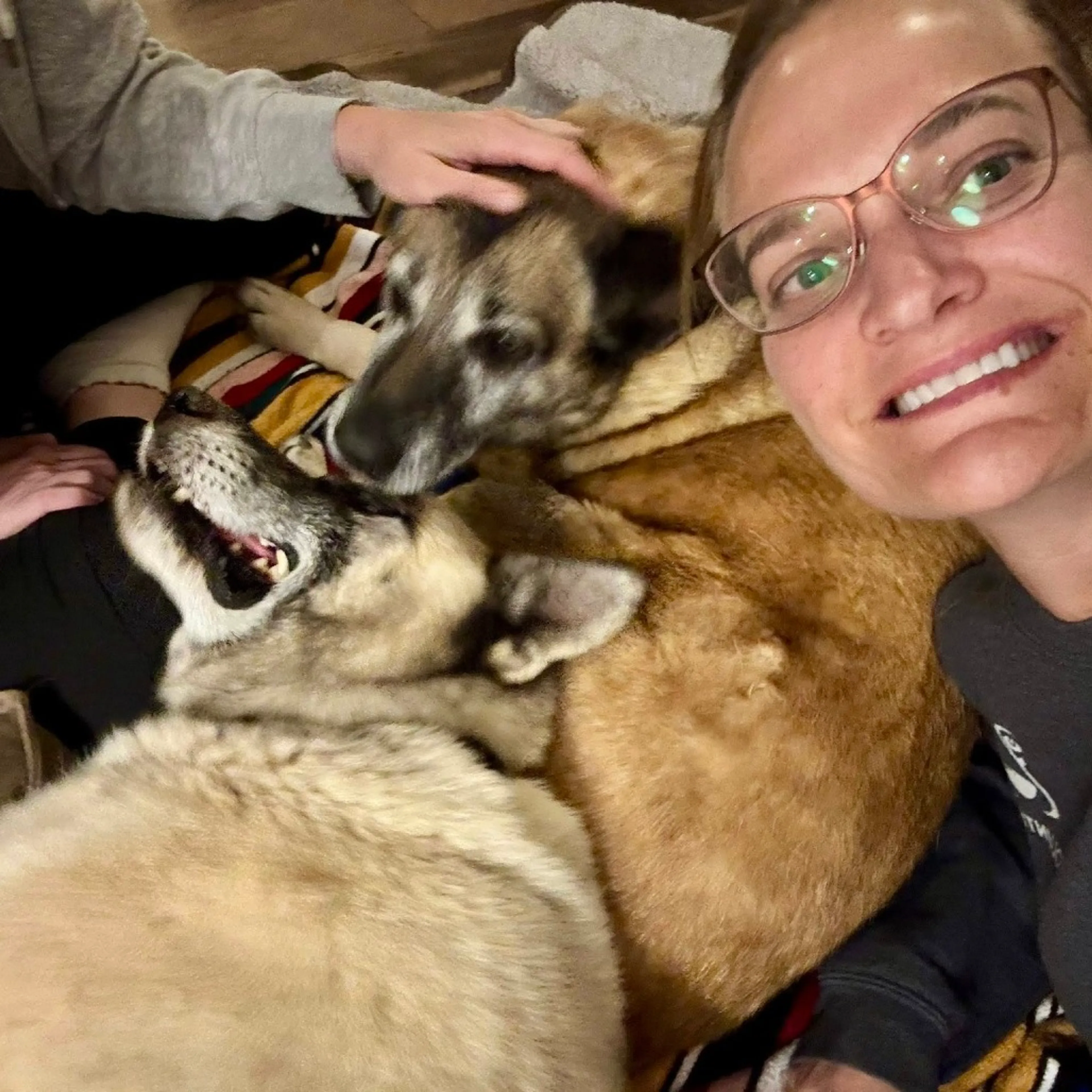 Found pet-7
