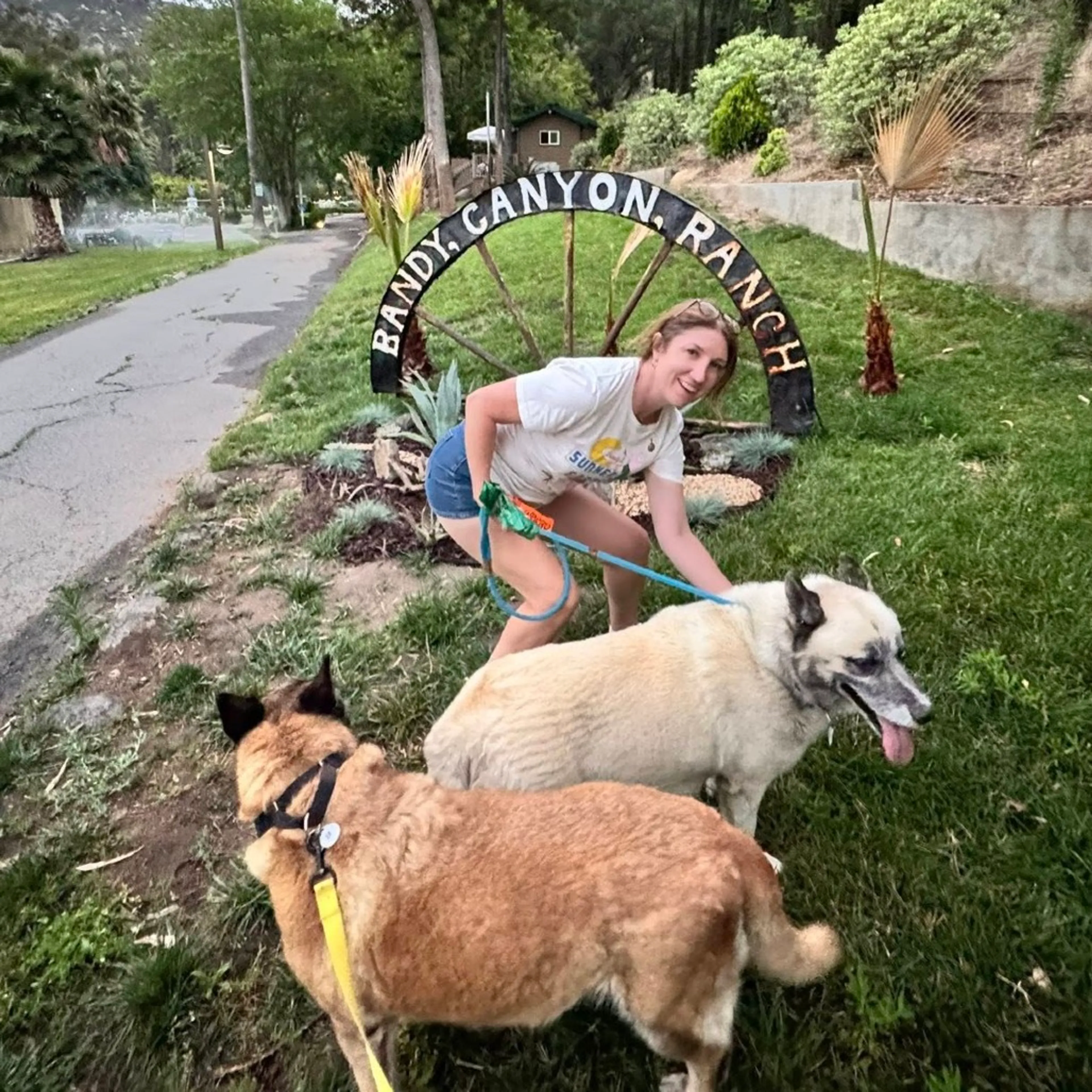 Found pet-5