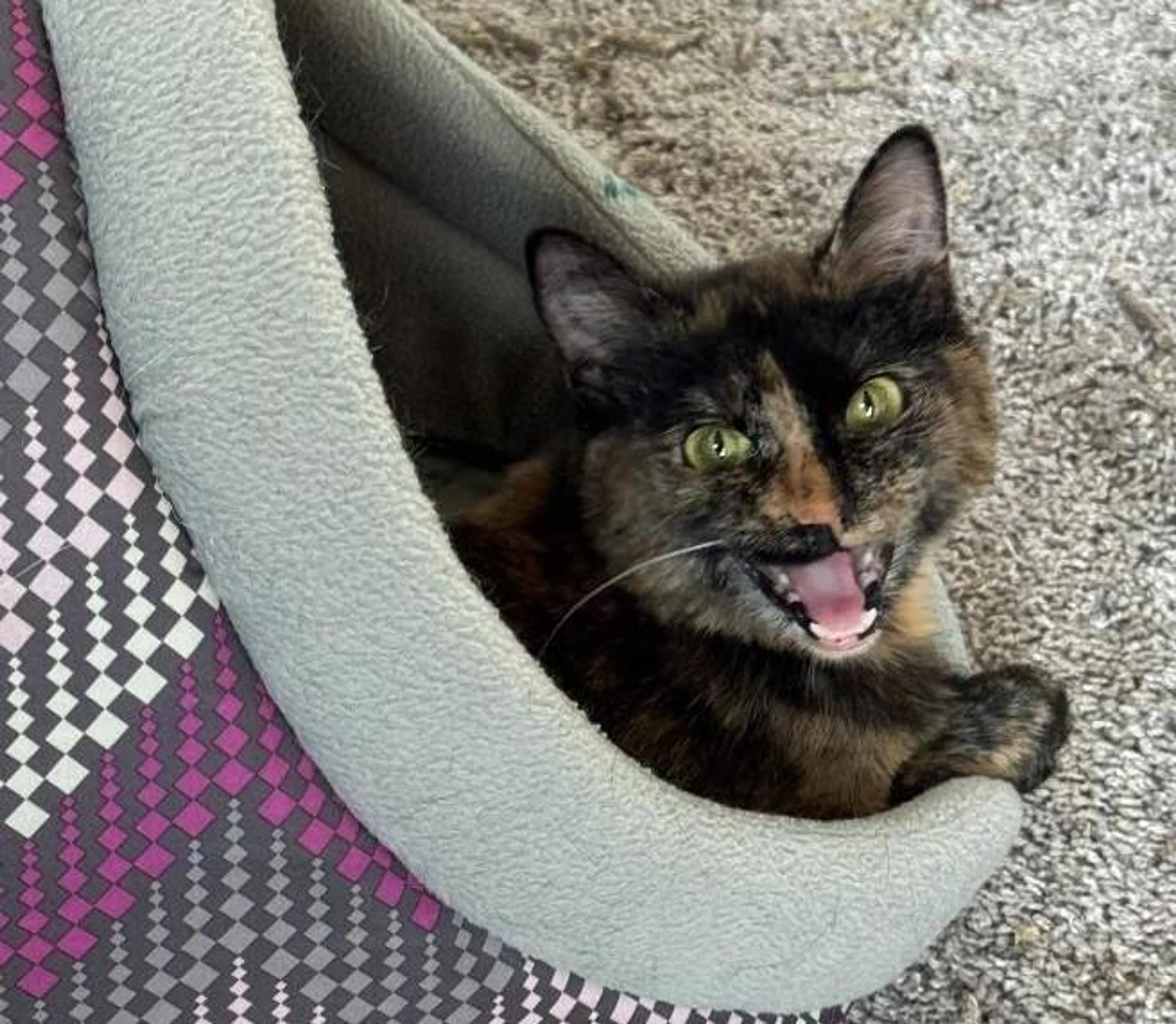 -1