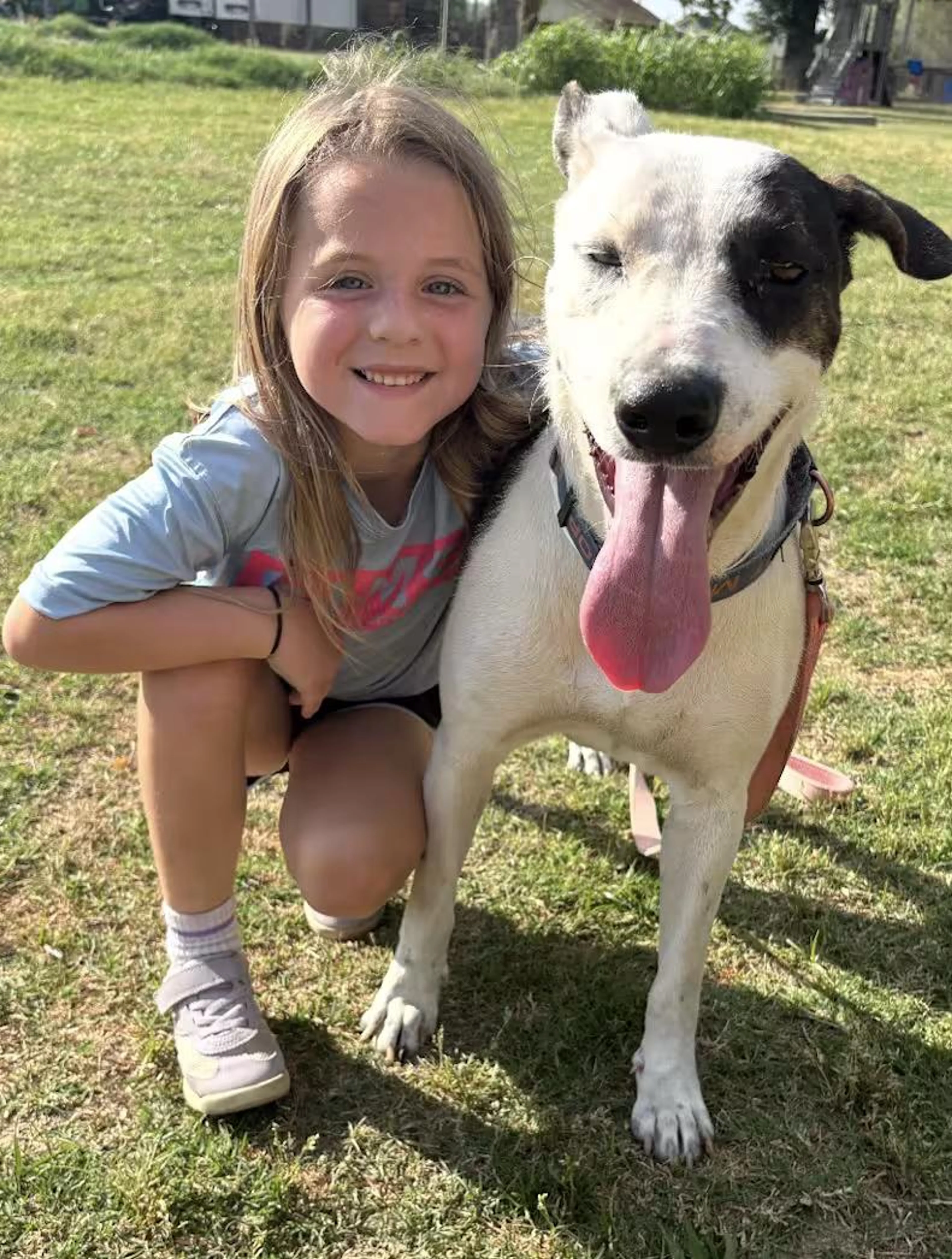 Found pet-2
