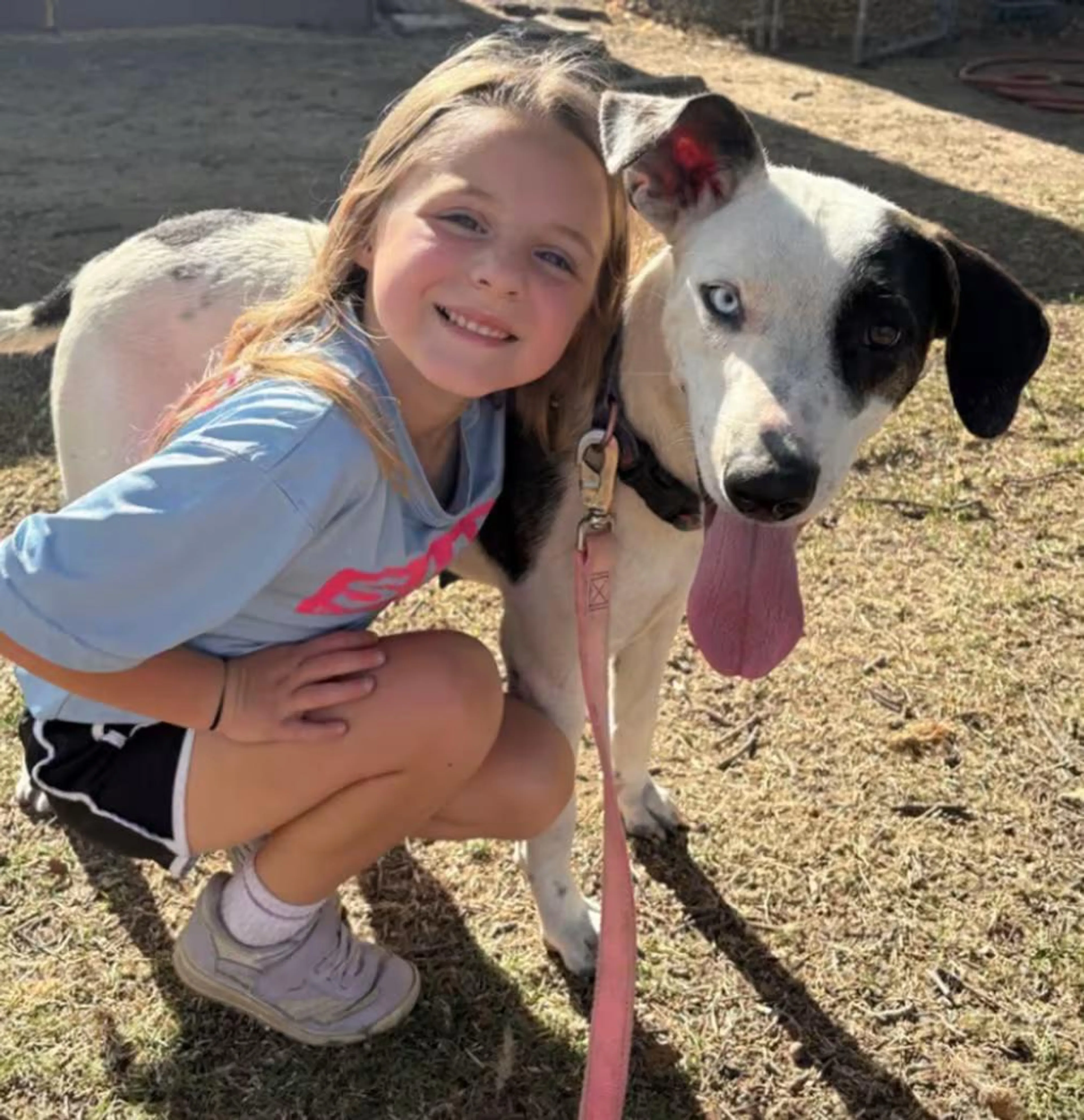 Found pet-1