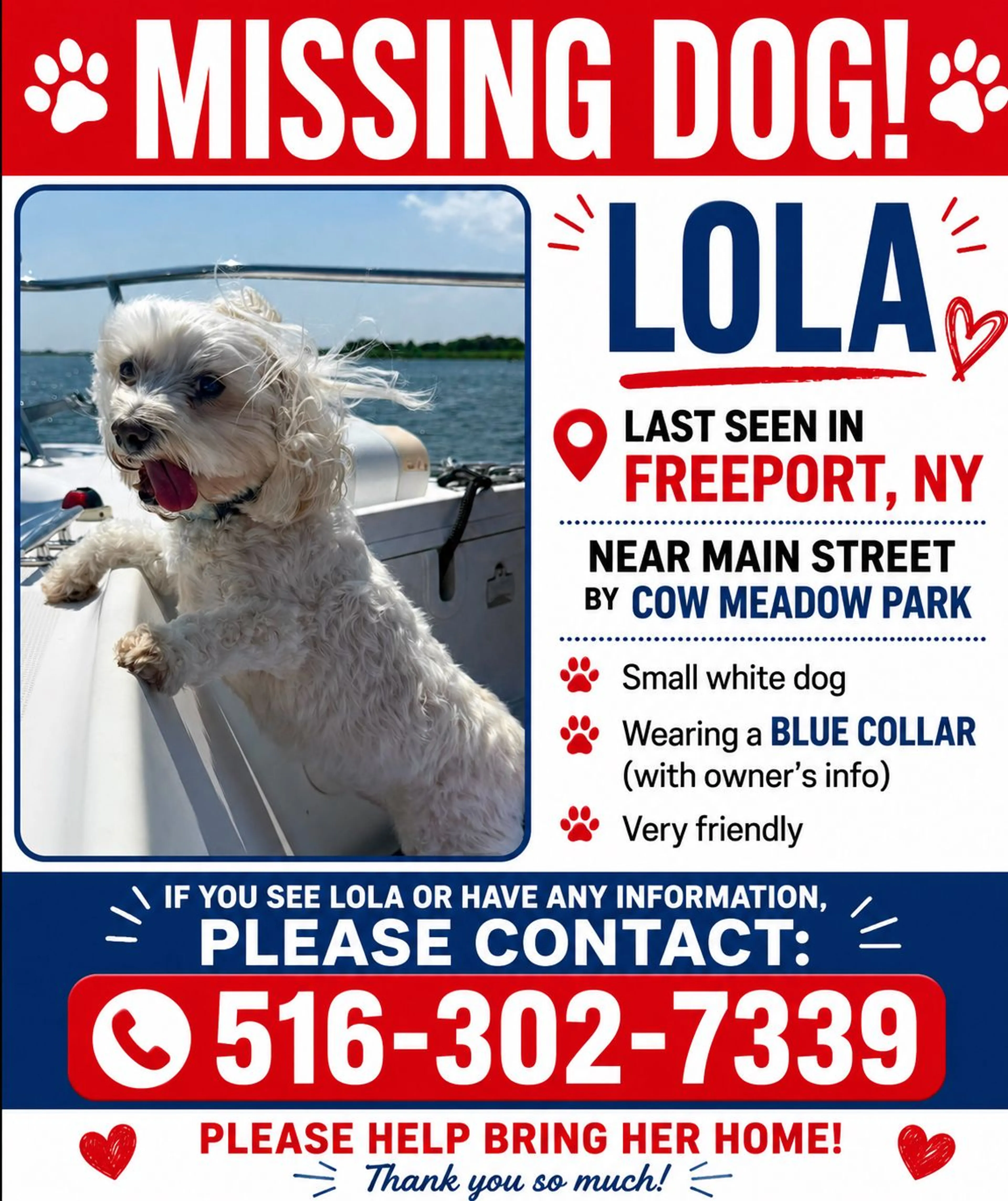 Lost pet