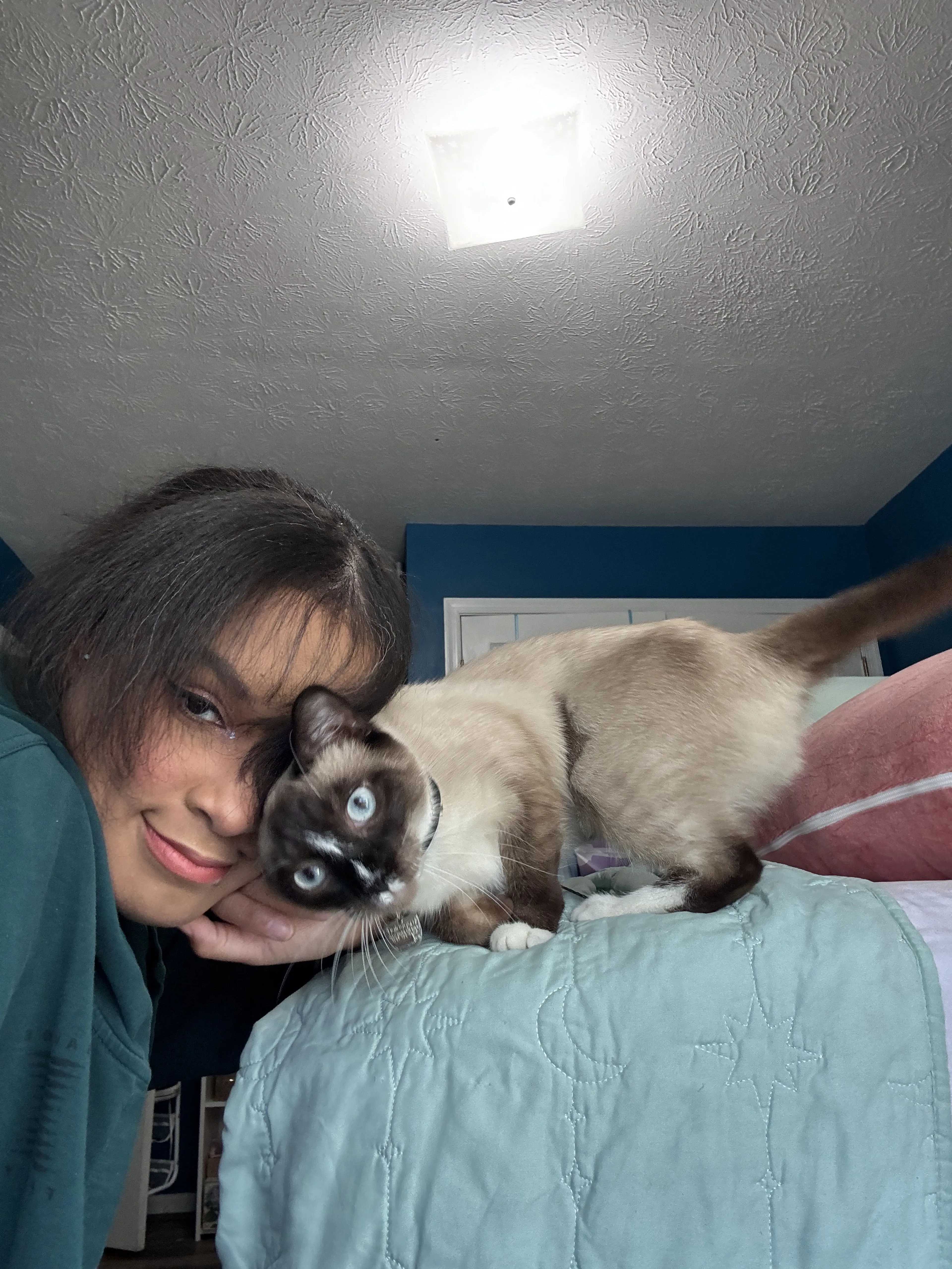 Lost pet-1