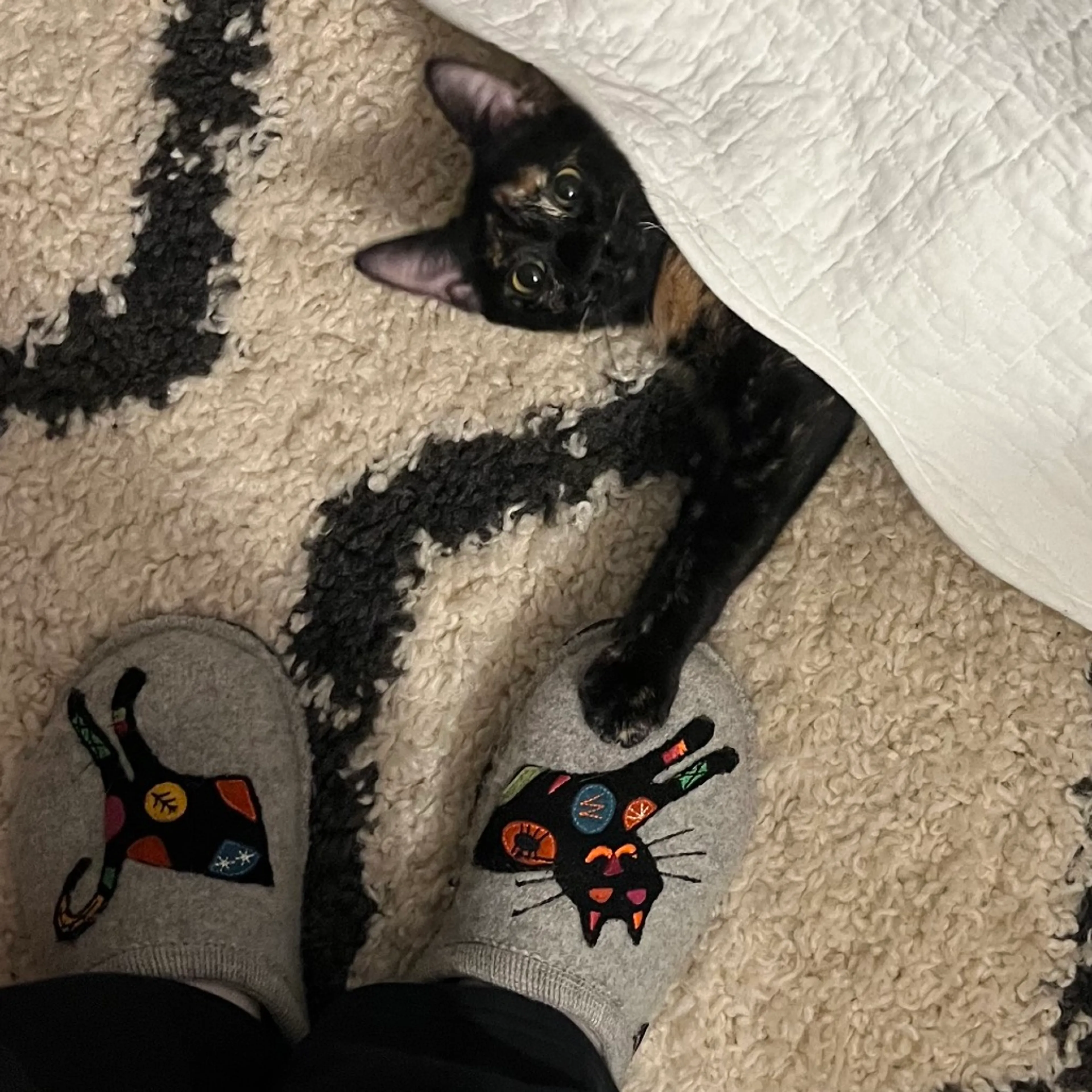 -12
